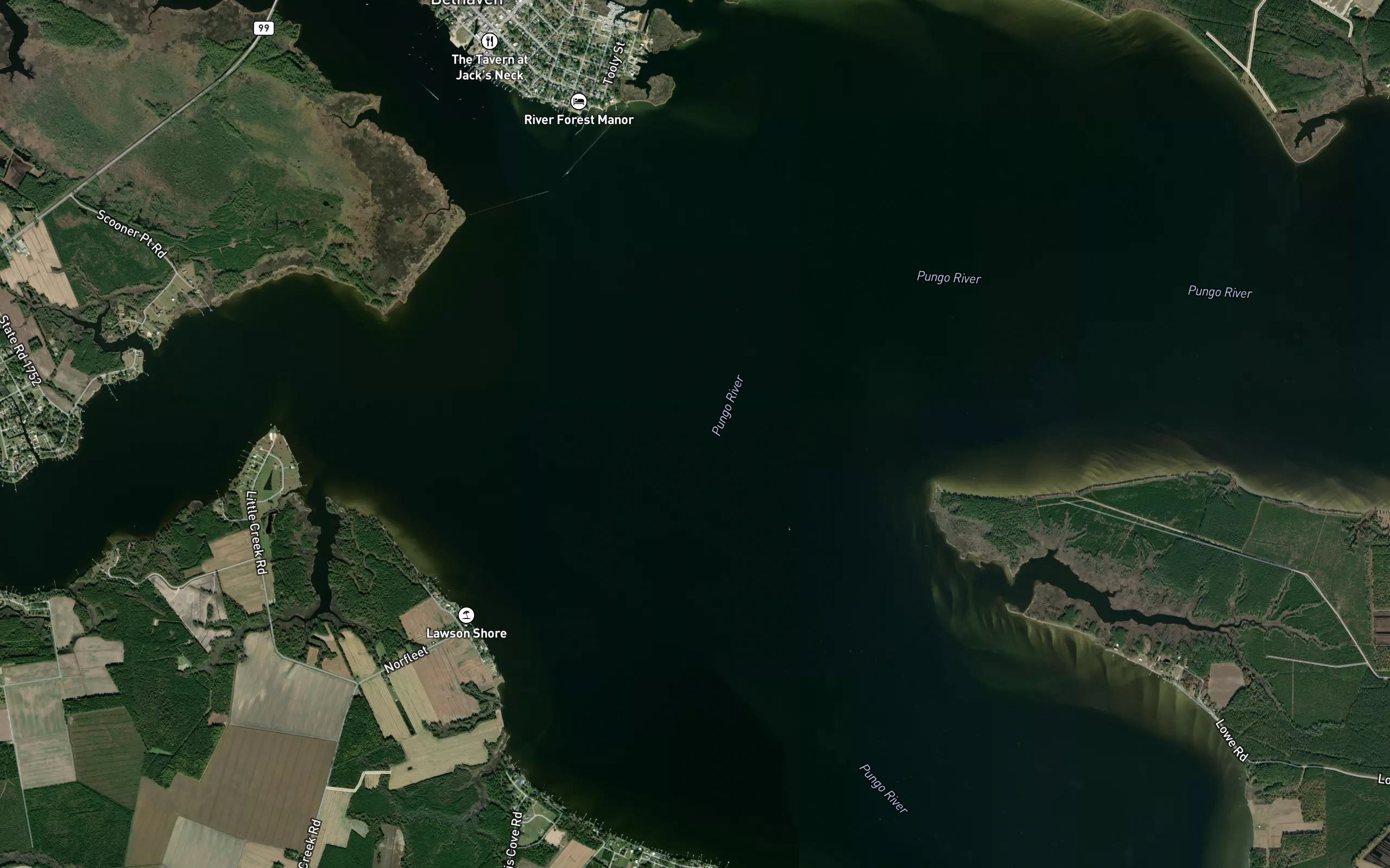 Pungo Creek