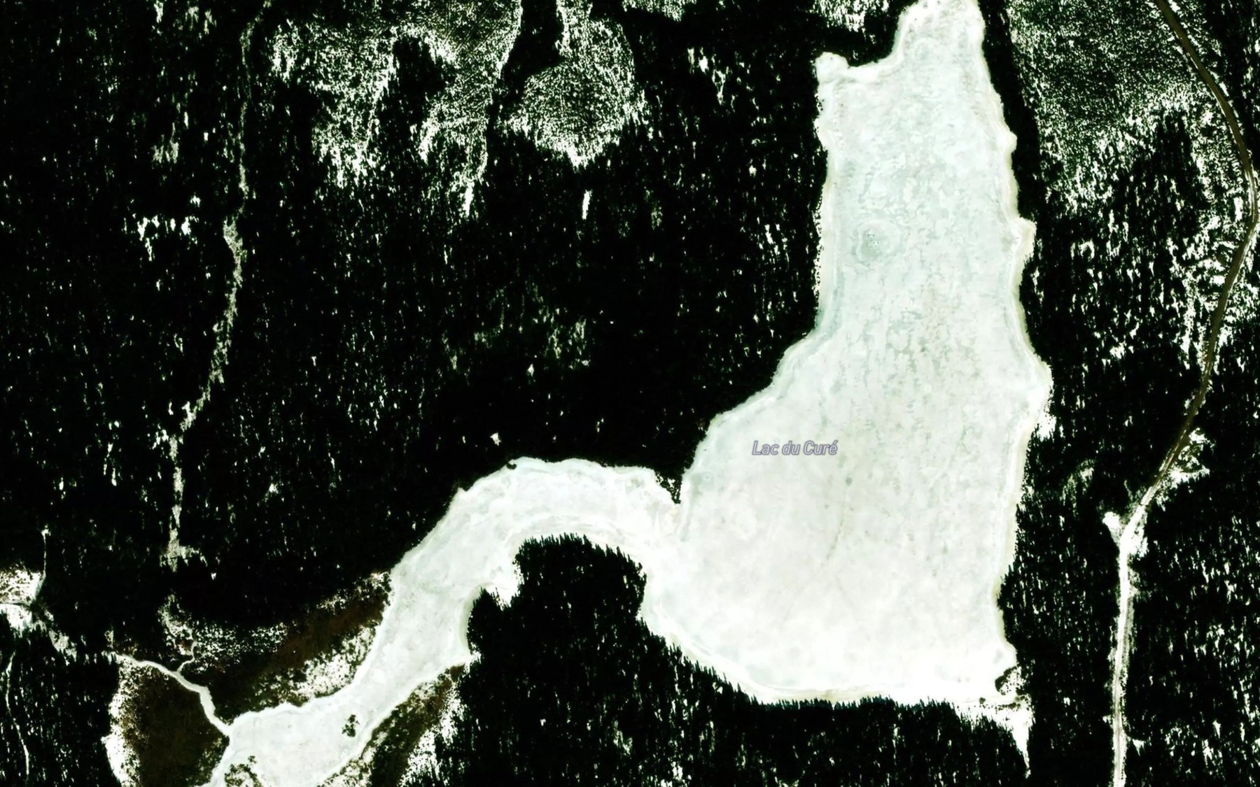 Satellite map of the Lac du Cure