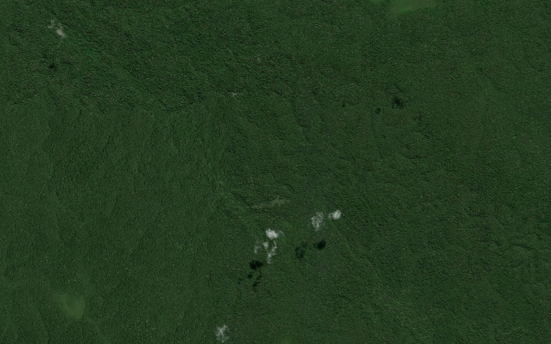 Satellite map of the Igarape Pupunha
