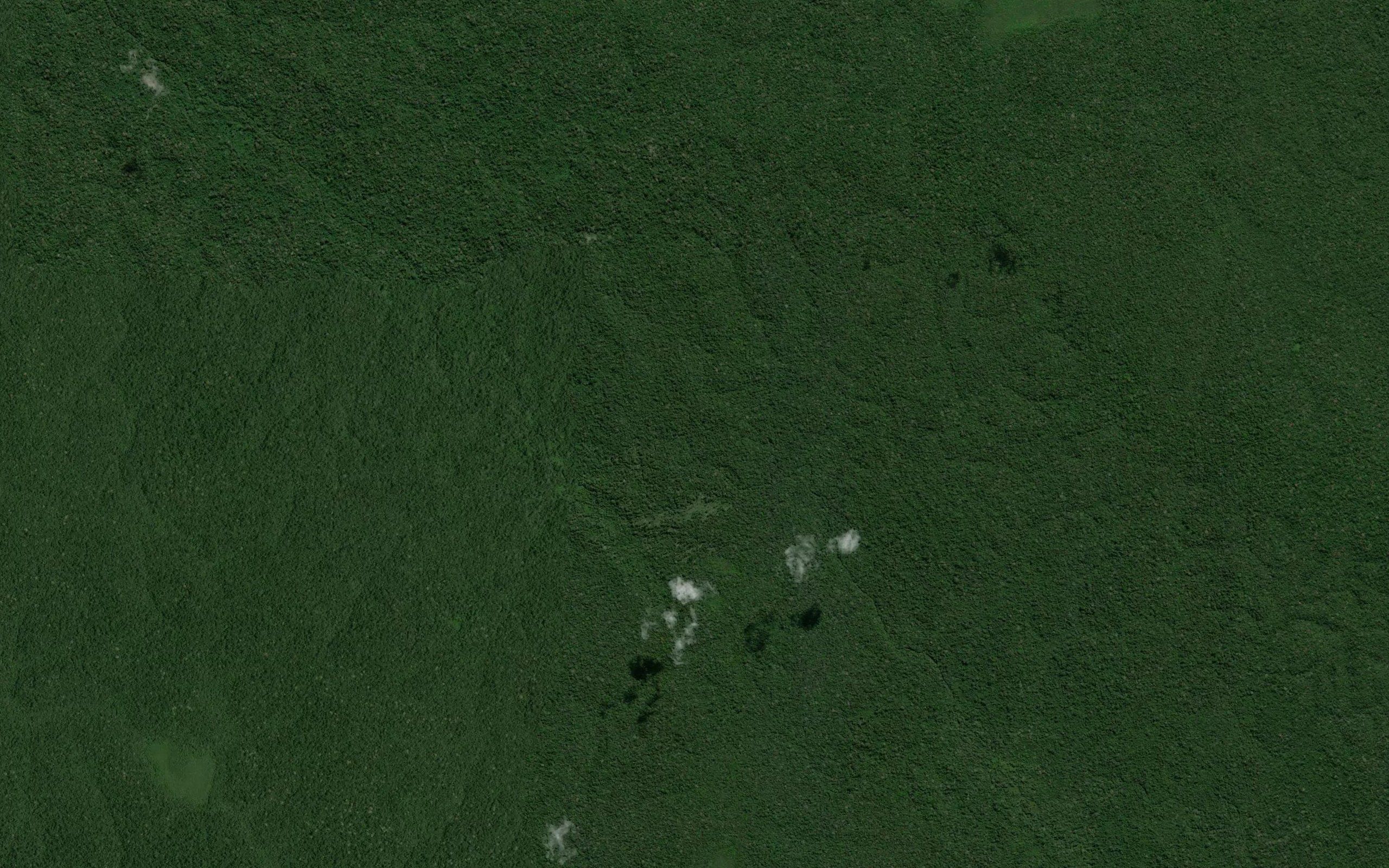Igarape Pupunha