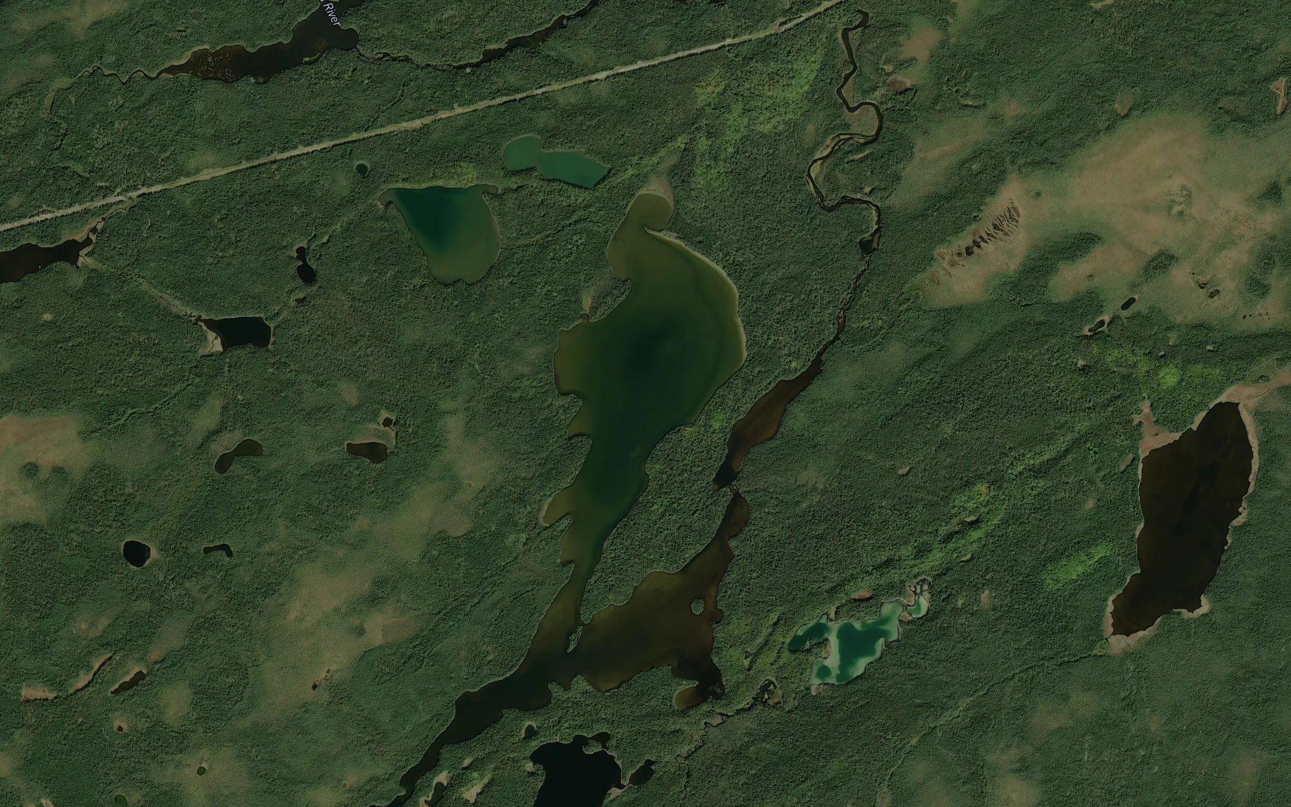 Bough Lake
