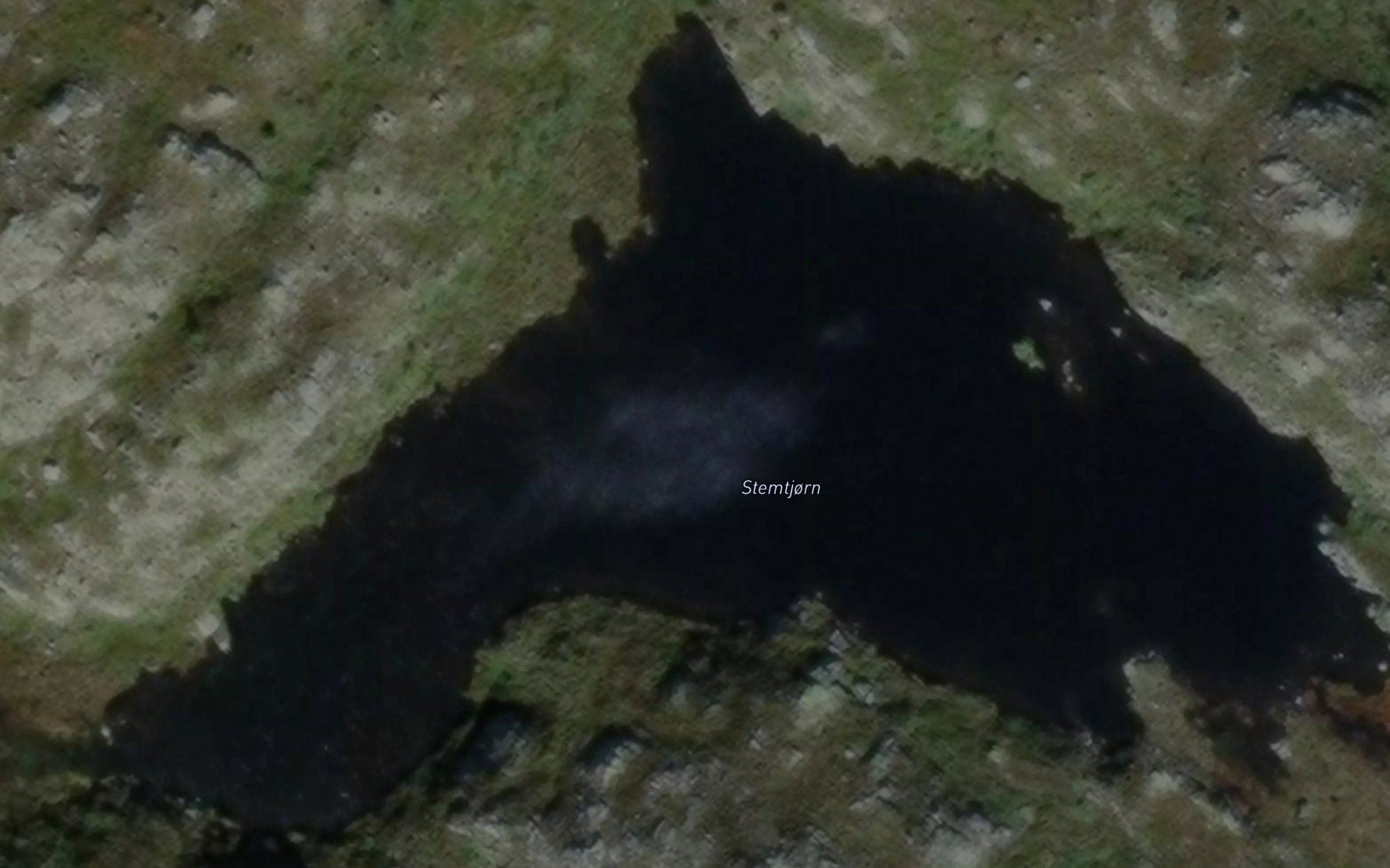 Stemtjorn