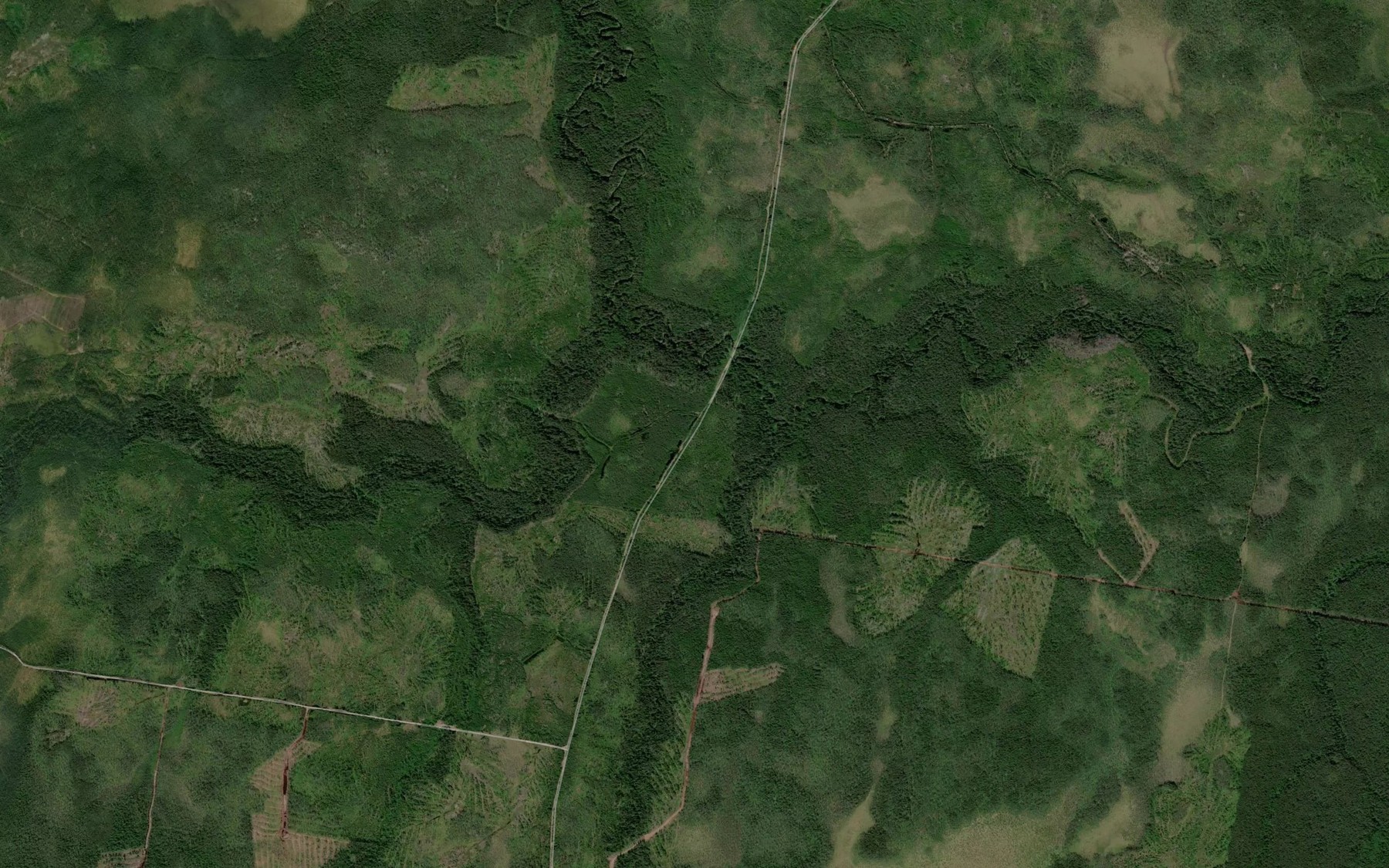 Satellite map of the Pod"yedomka
