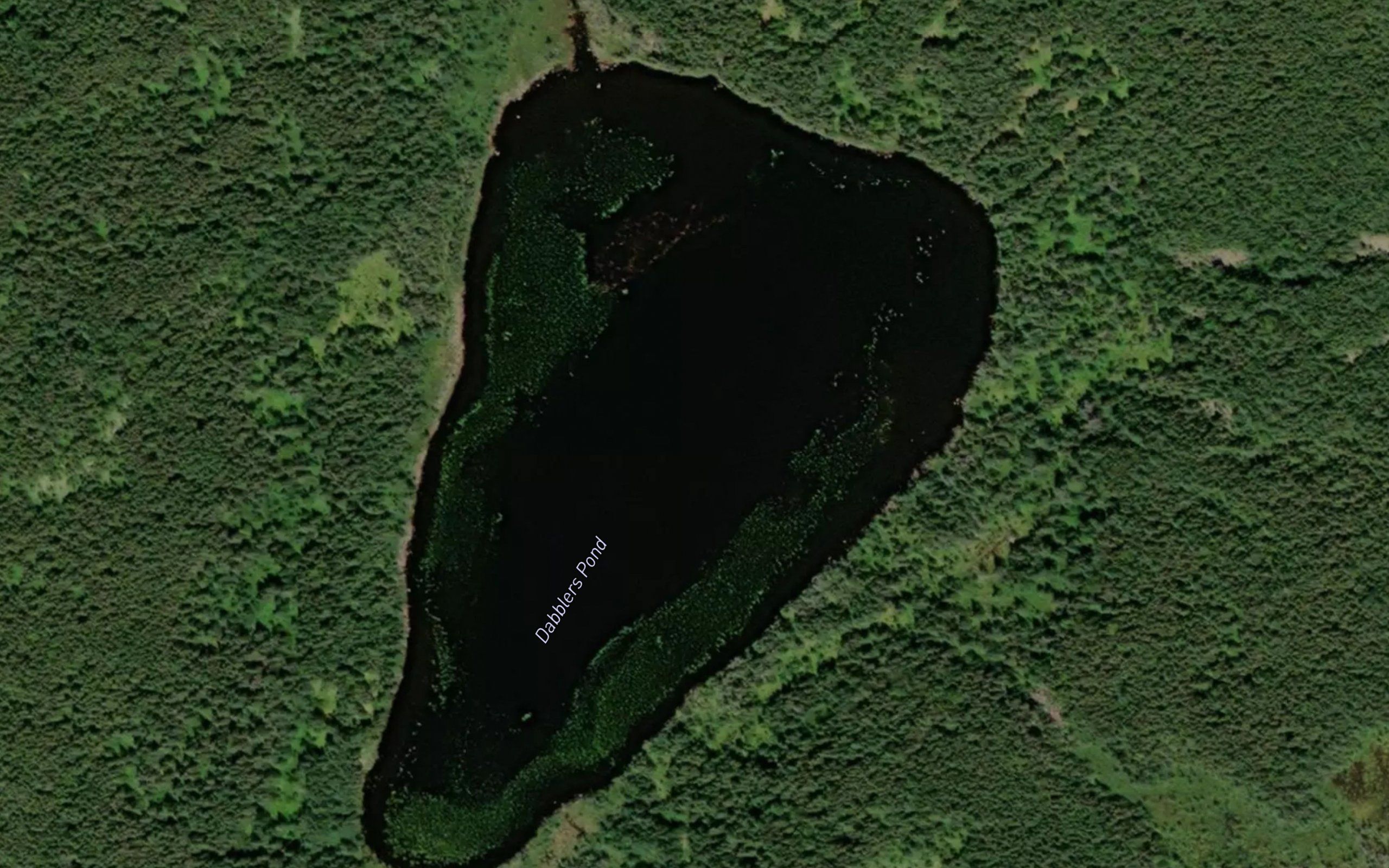 Dabblers Pond