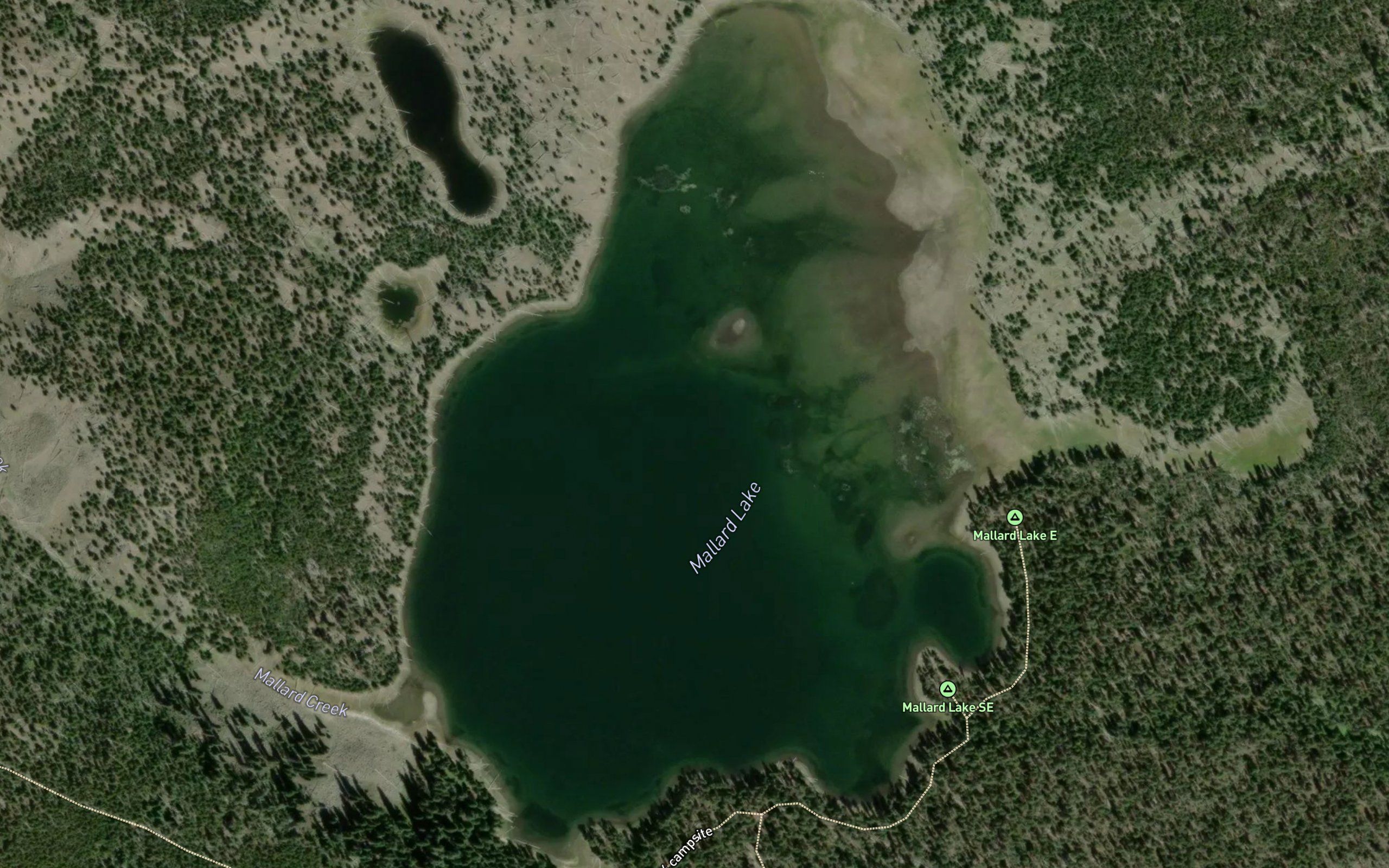 Mallard Lake