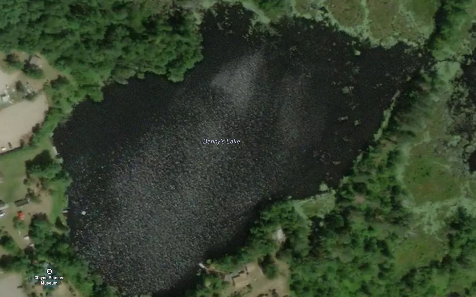 Satellite map of the Benny's Lake