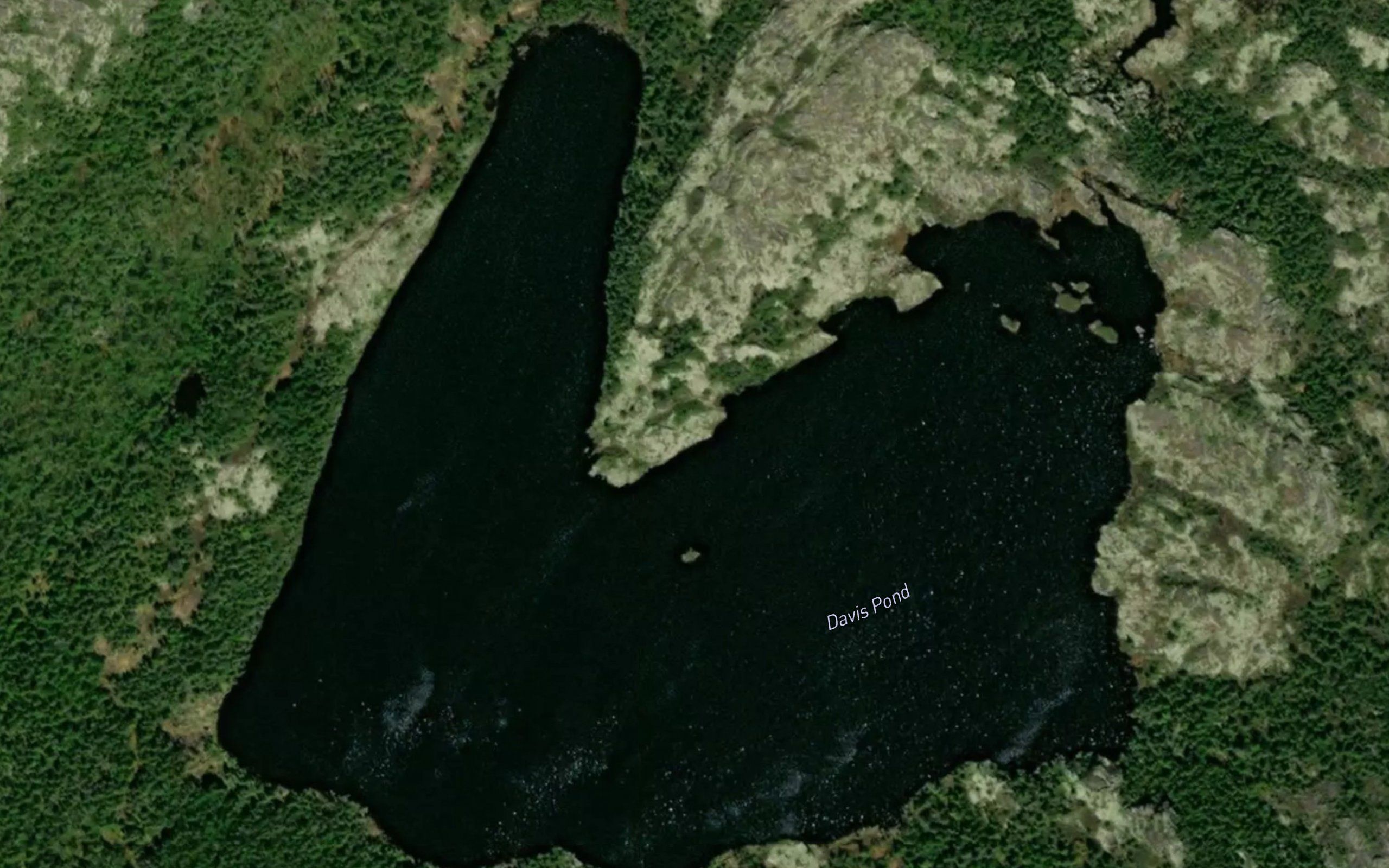 Davis Pond