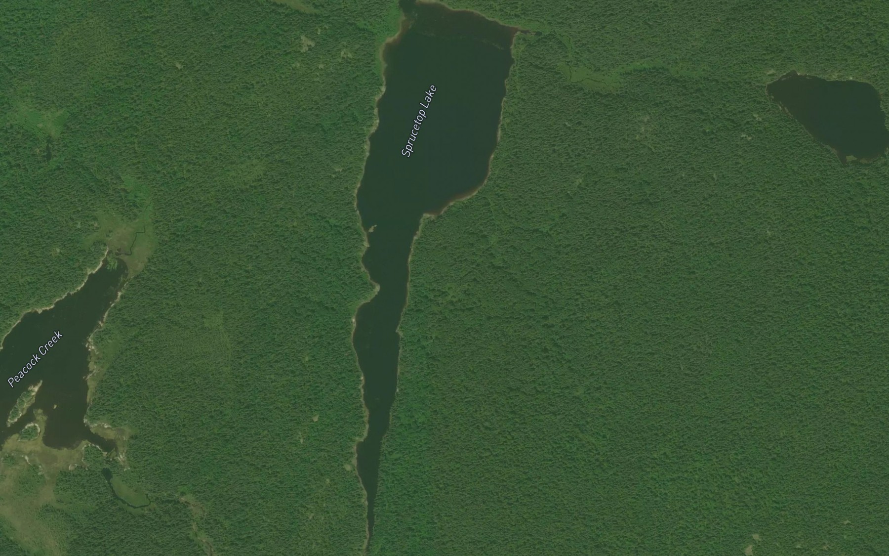 Satellite map of the Sprucetop Lake