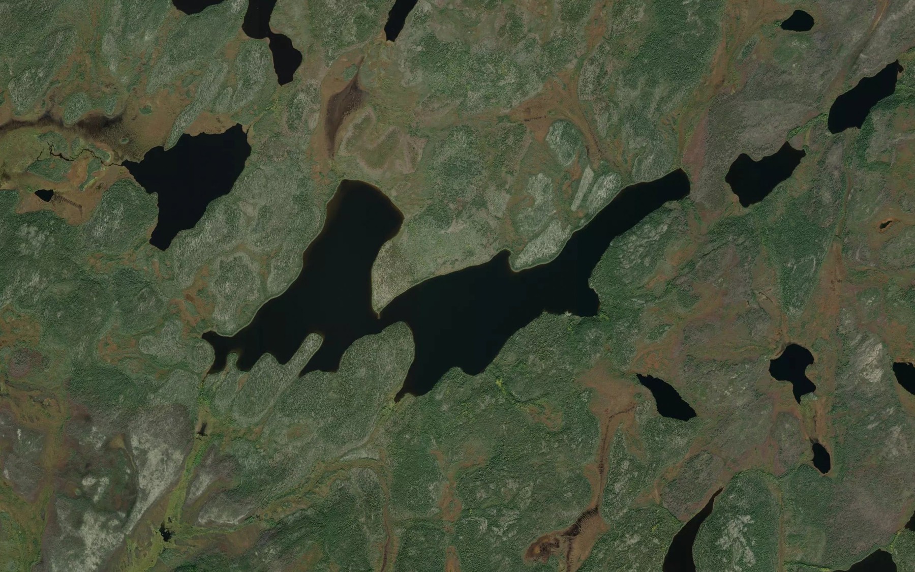 Satellite map of the Thickins Lake