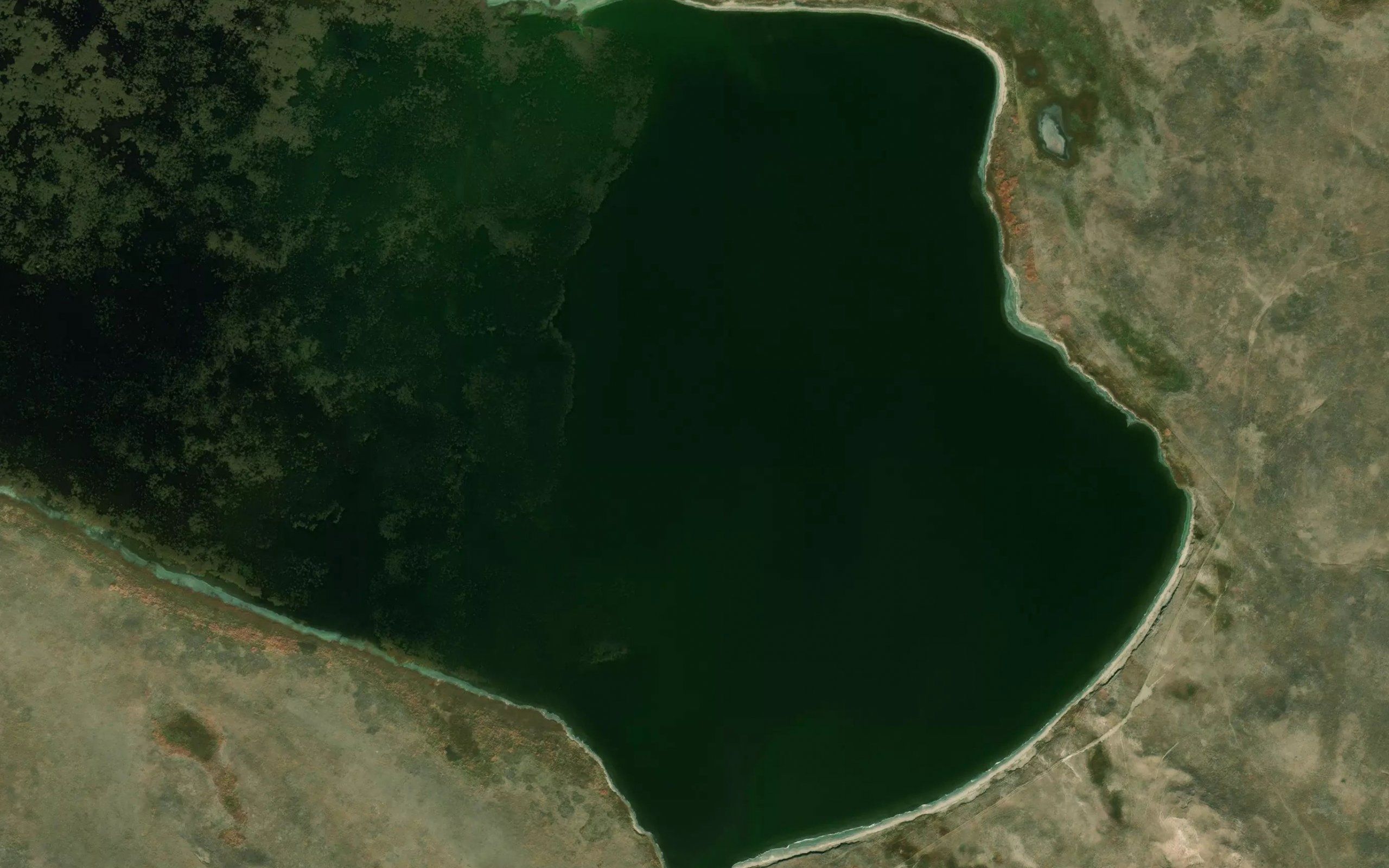 Whitehead Lake