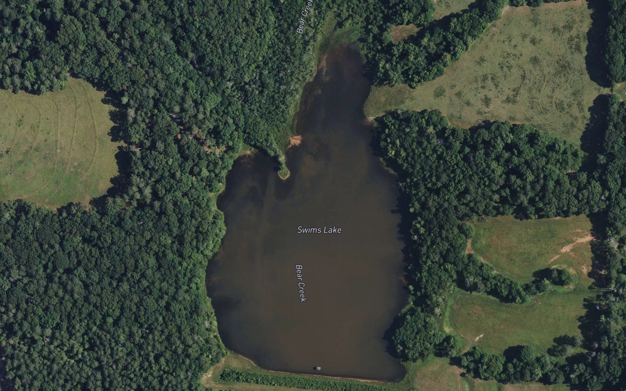 Swims Lake