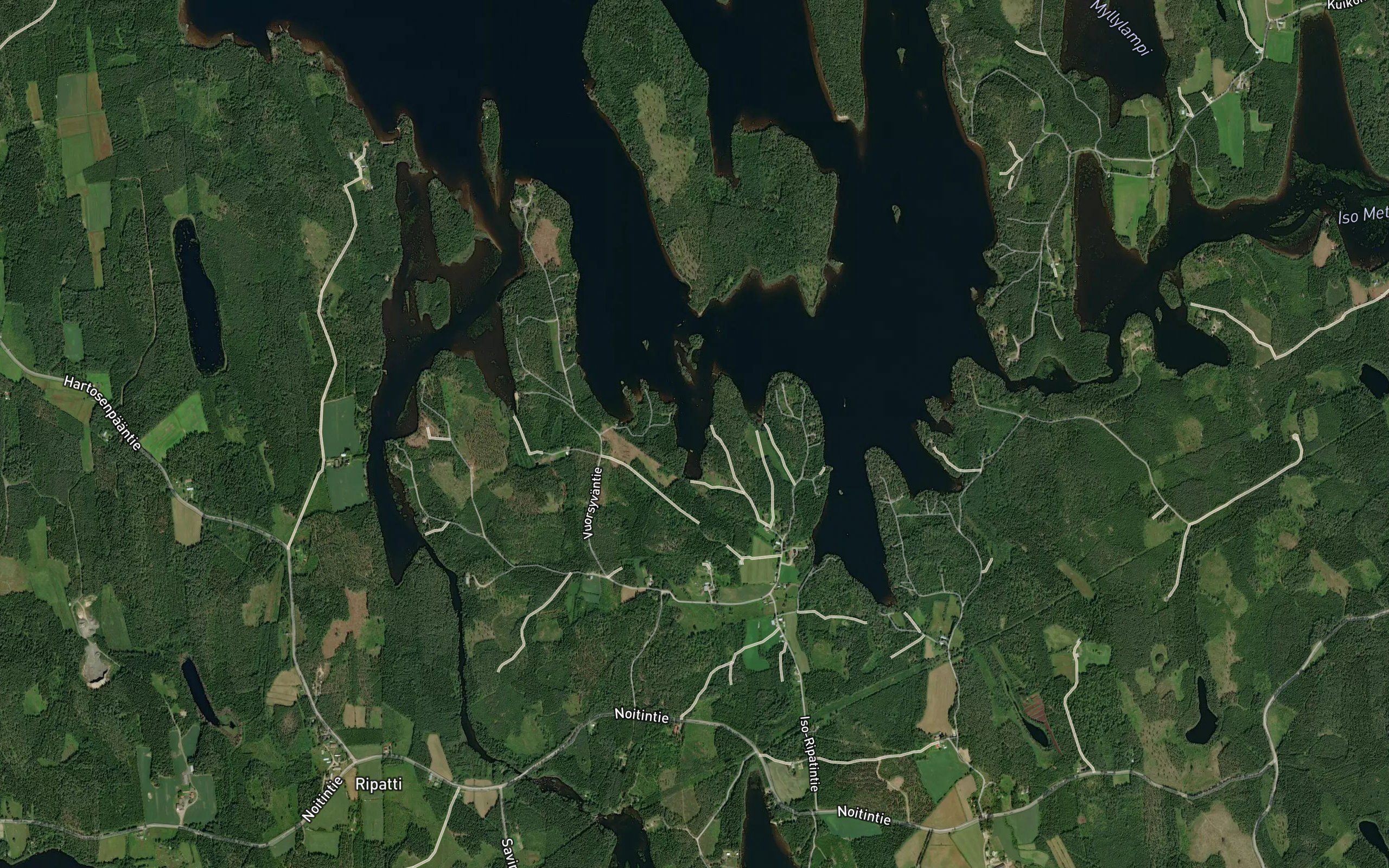 Pitkalahti