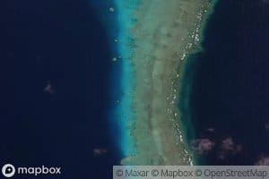 Ribbon Number Seven Reef