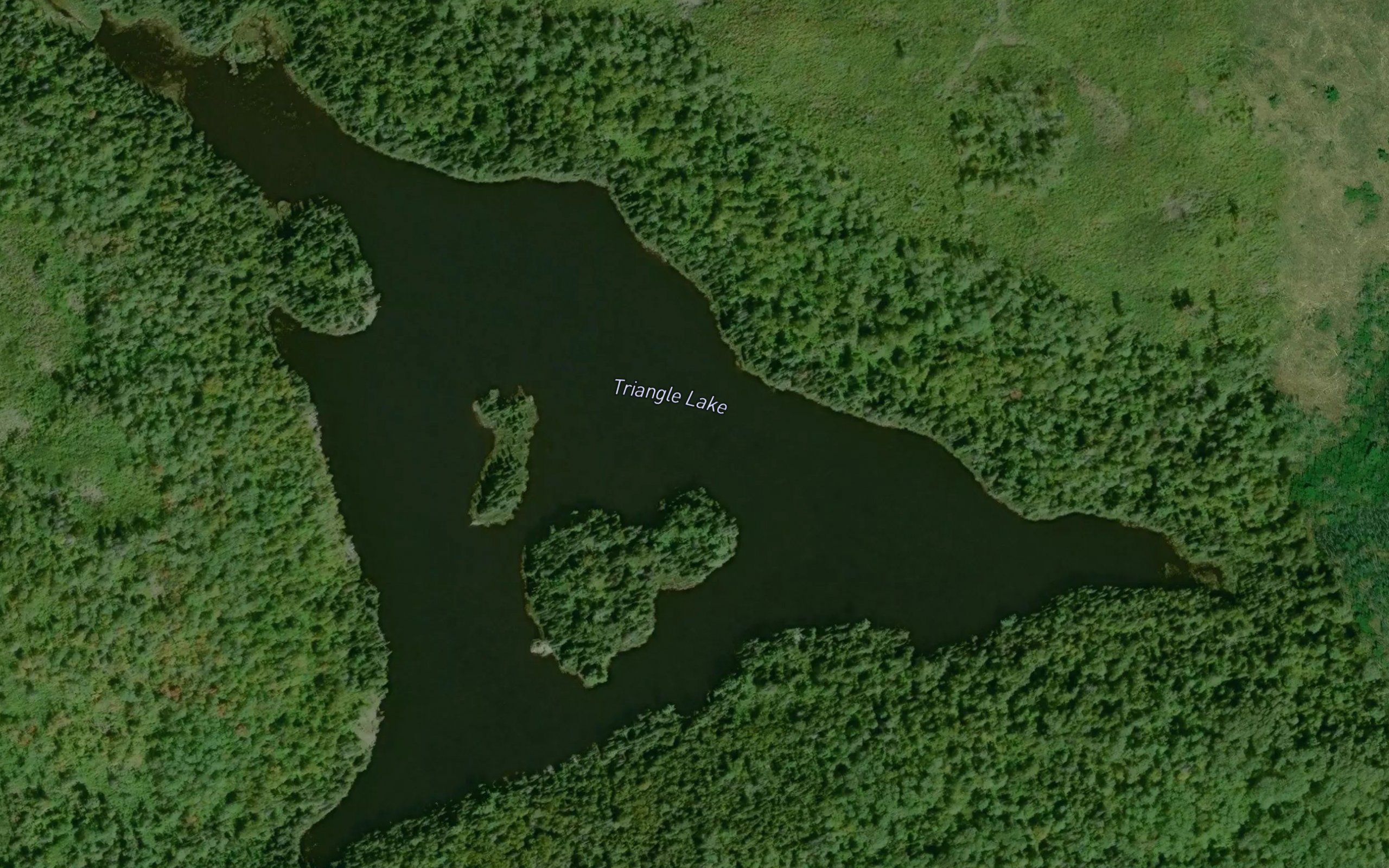 Triangle Lake
