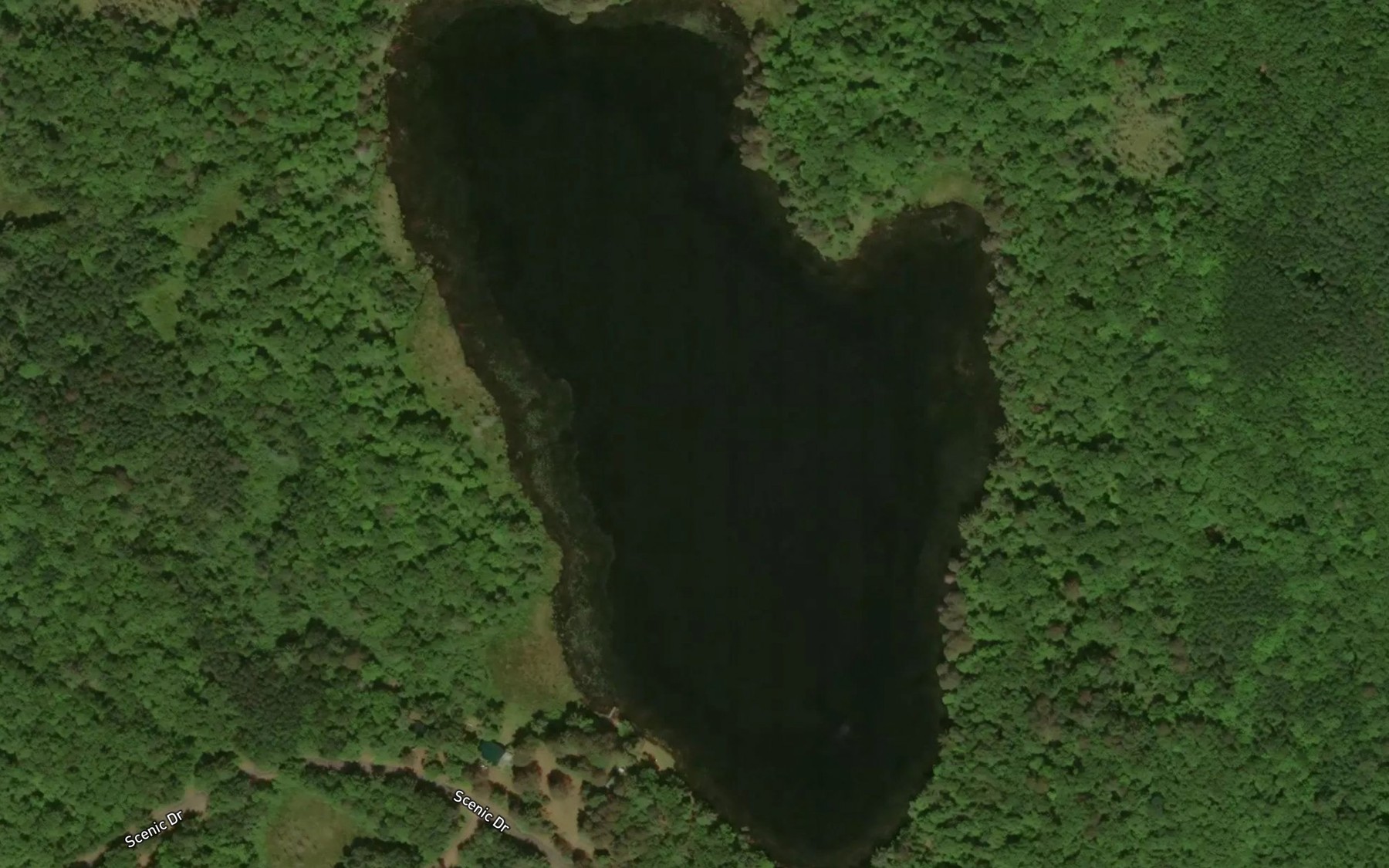 Satellite map of the Swede Lake