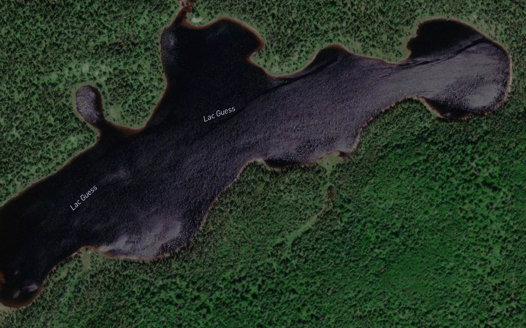 Satellite map of the Lac Guess