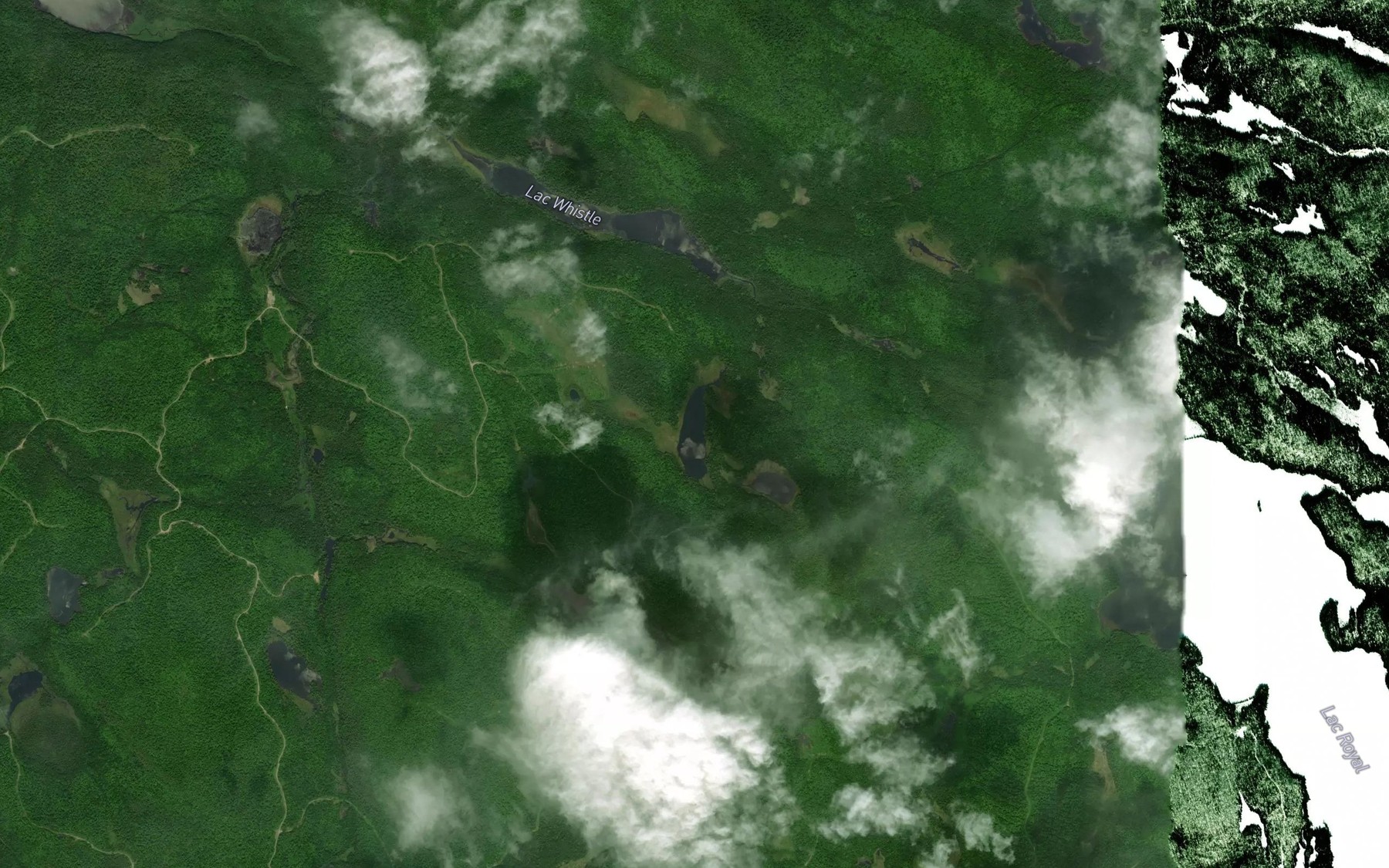 Satellite map of the Lac des Landes