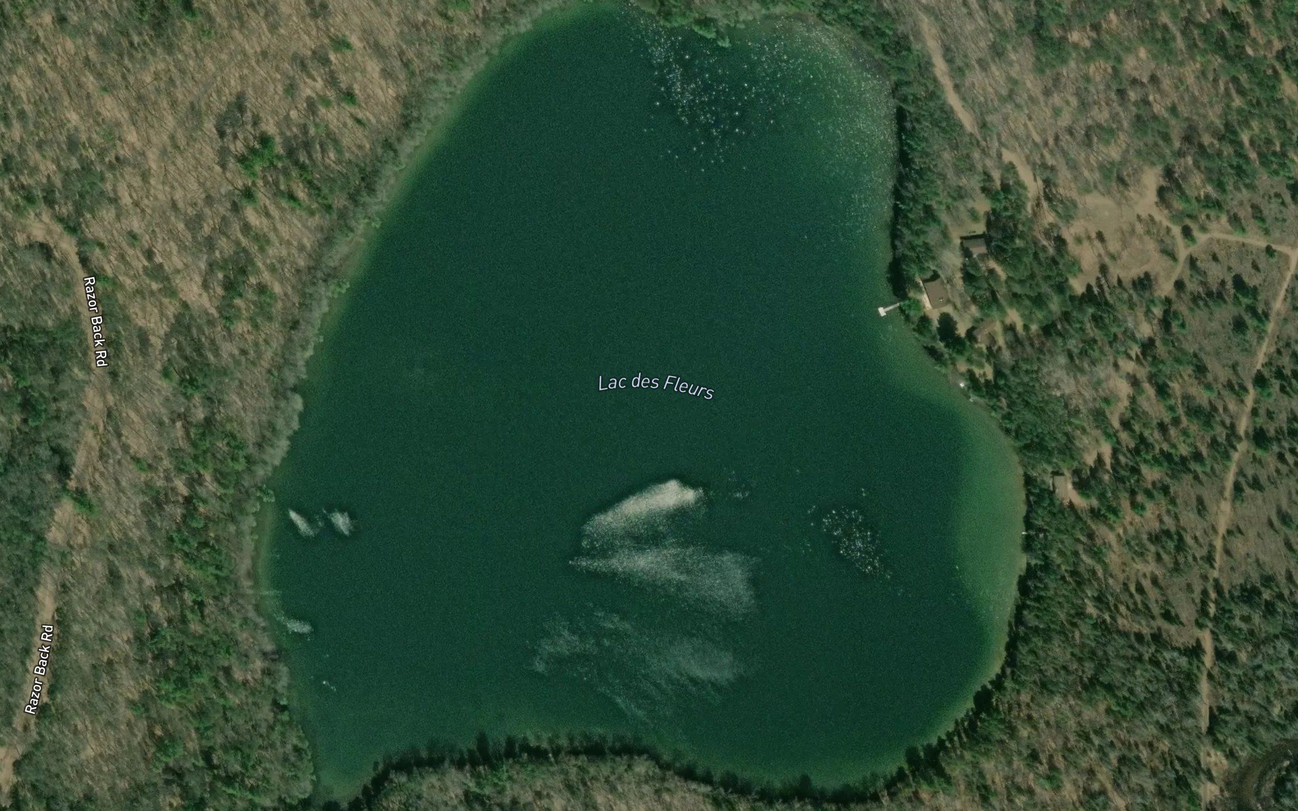 Lac des Fleurs
