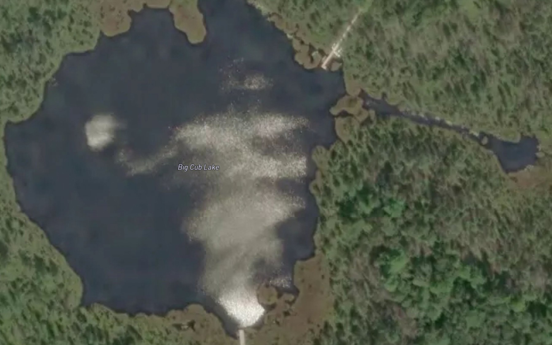Satellite map of the Big Cub Lake