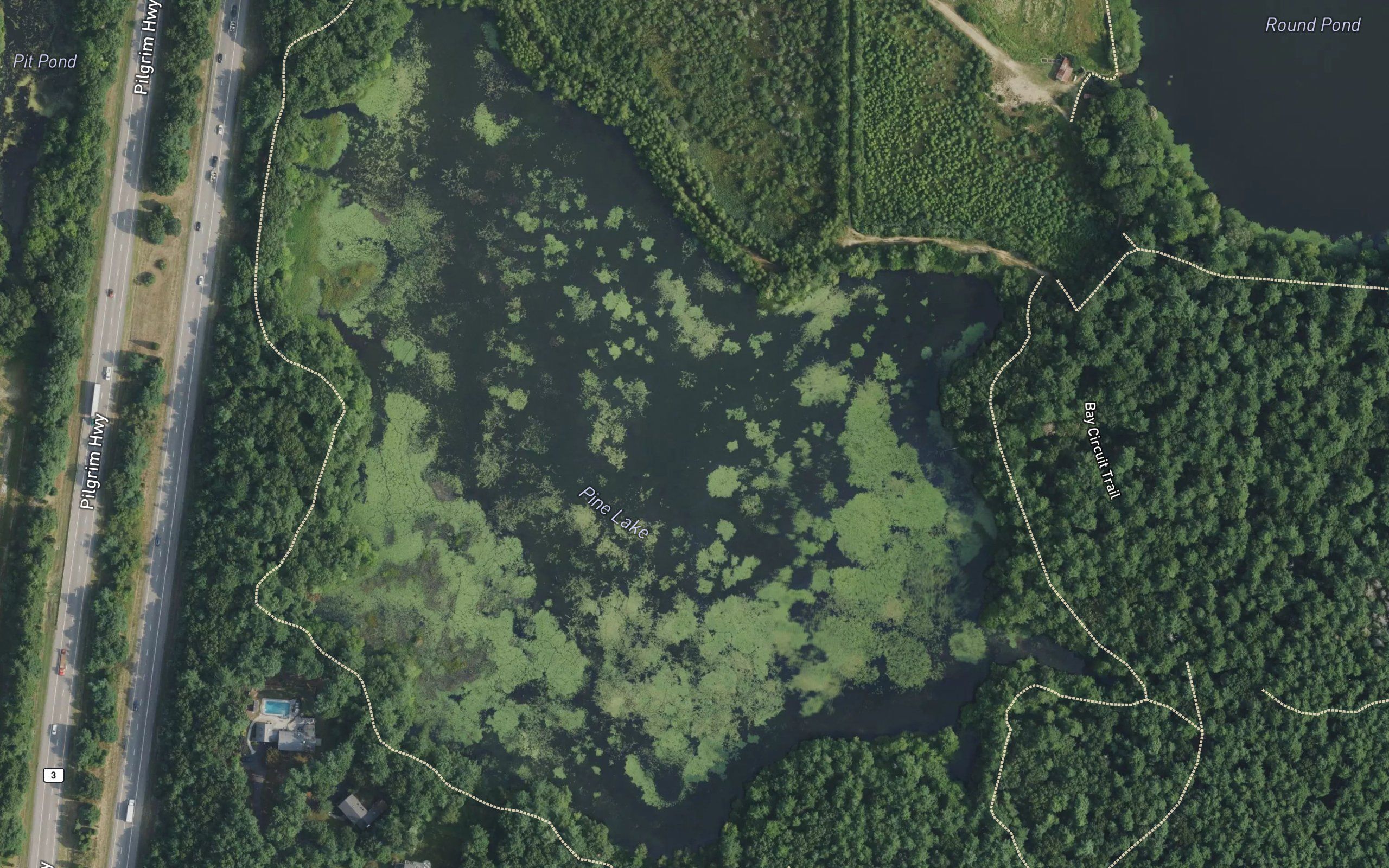 Pine Lake