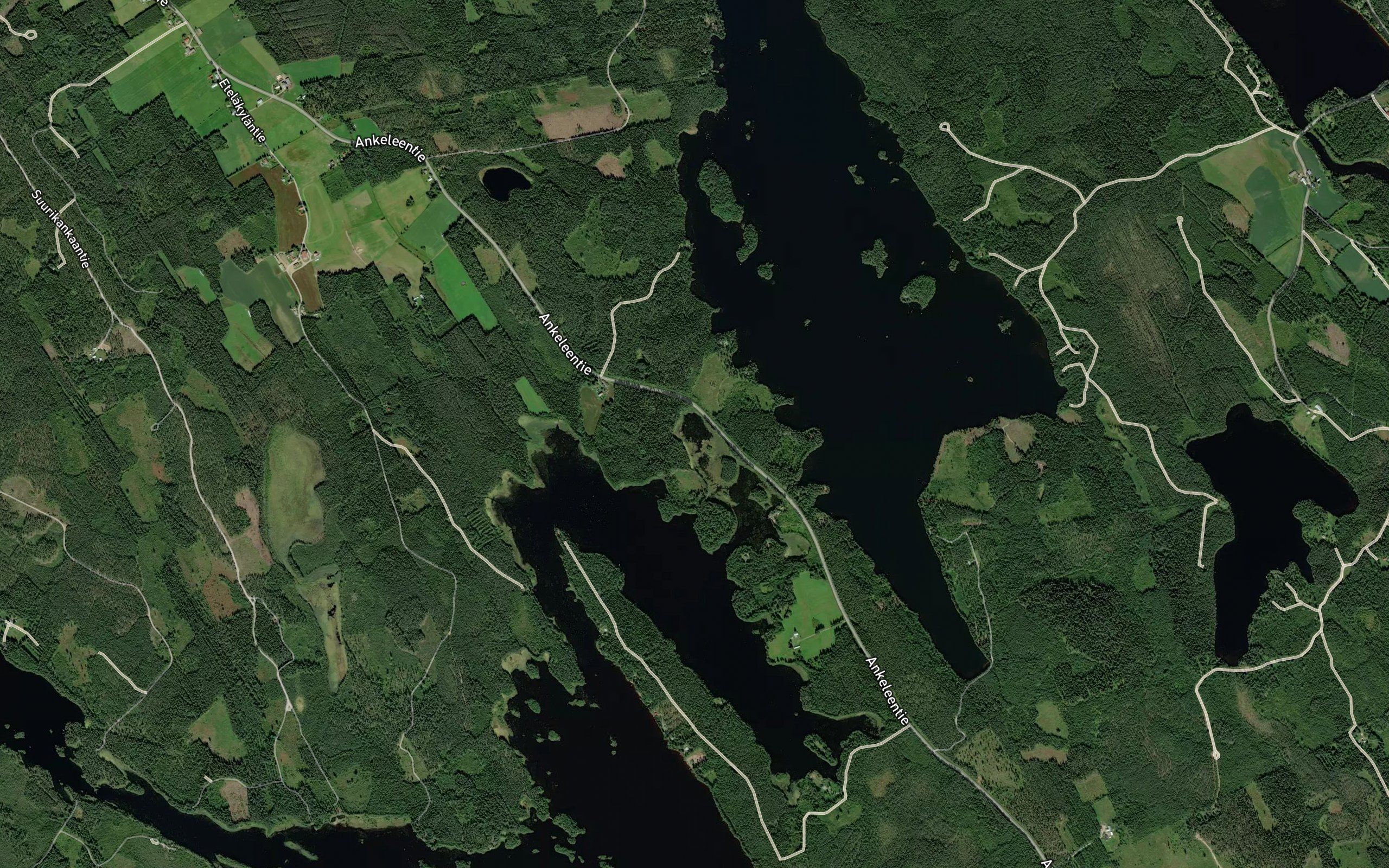 Ryonanlahti
