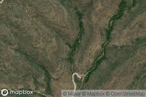 Homestead Spring