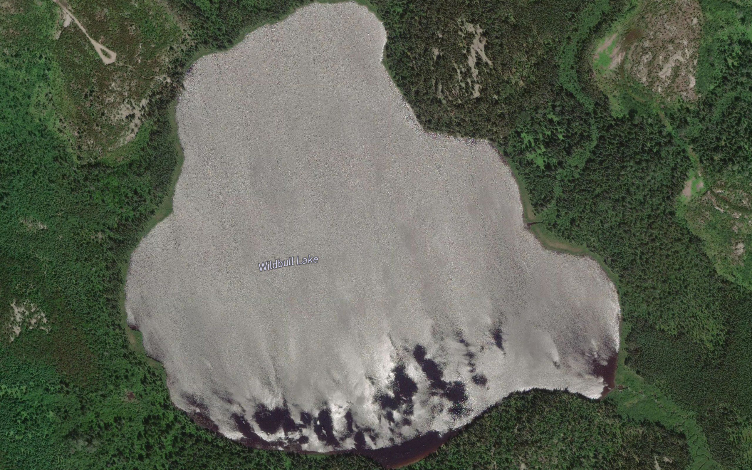 Wildbull Lake