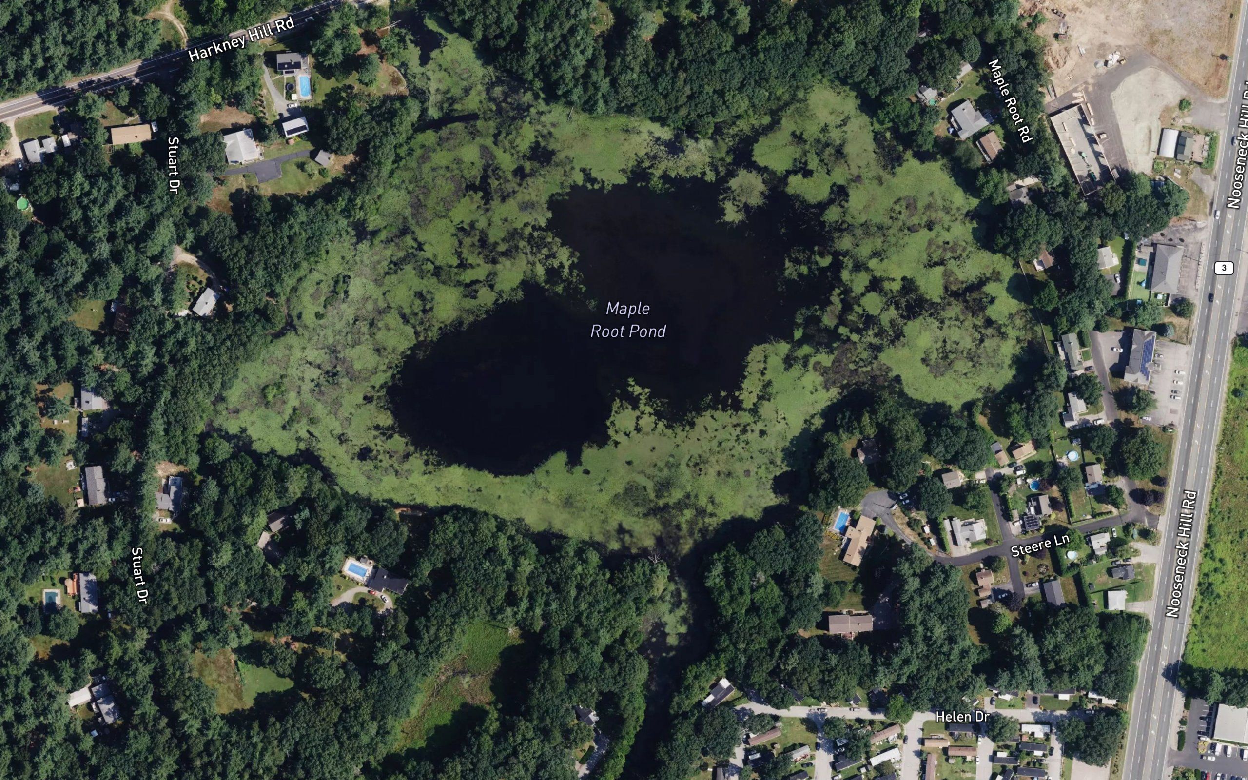 Maple Root Pond
