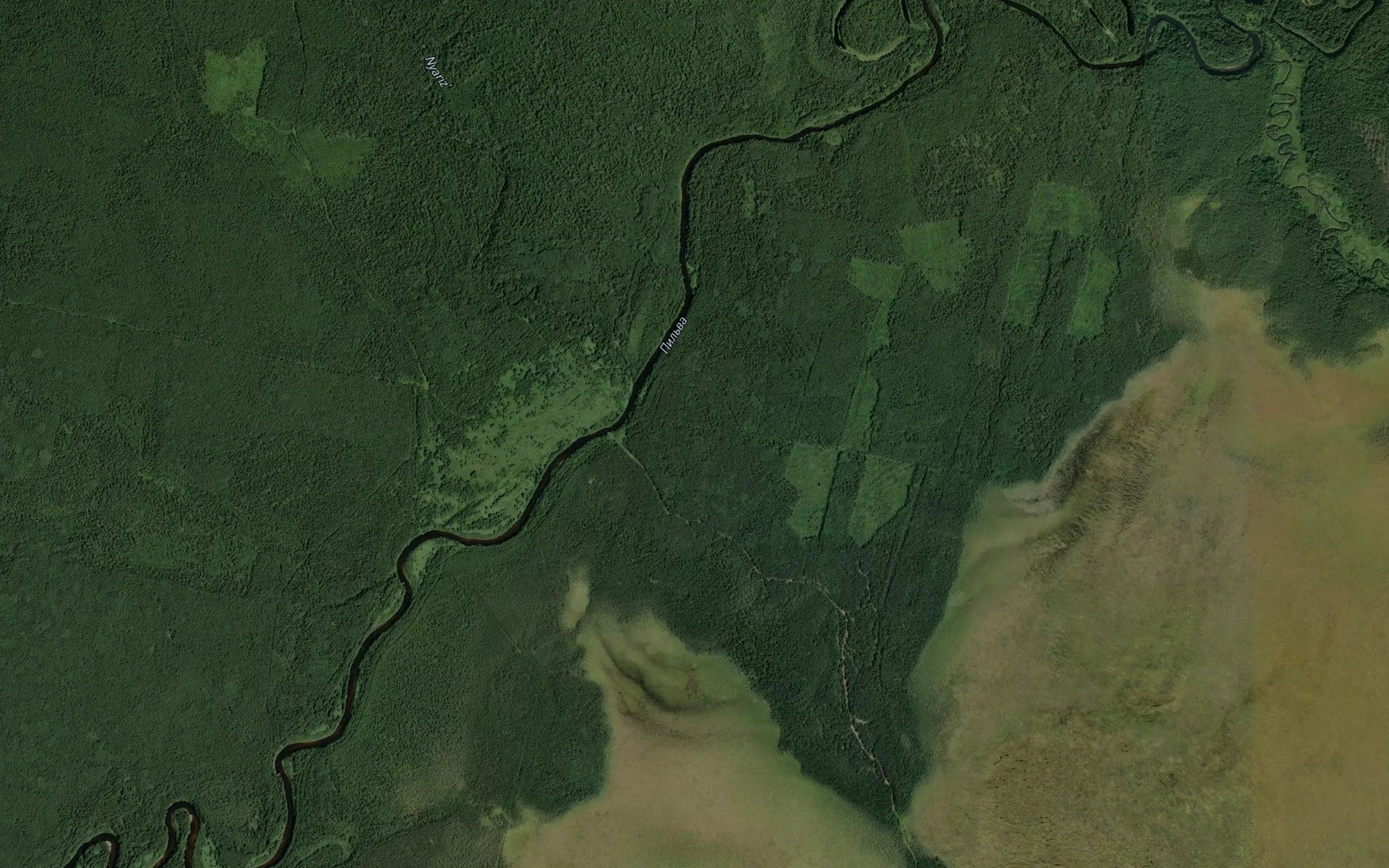Satellite map of the Nyariz'