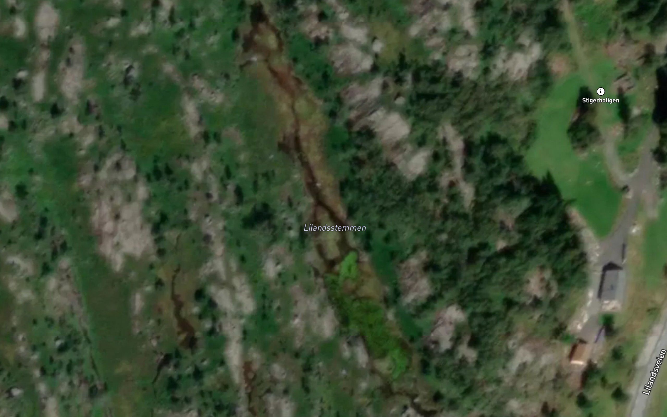 Lilandsstemmen