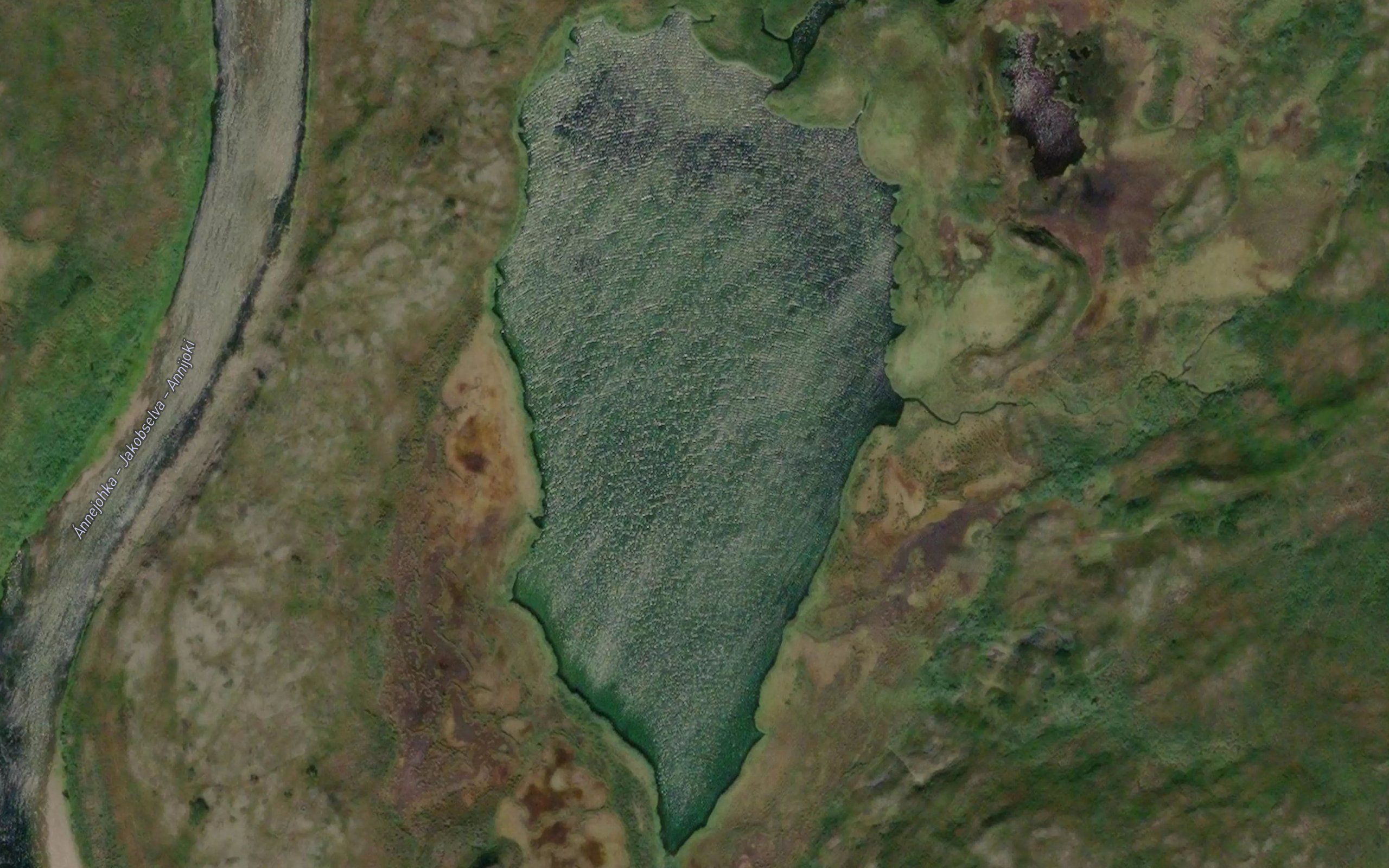 Jaddujavri