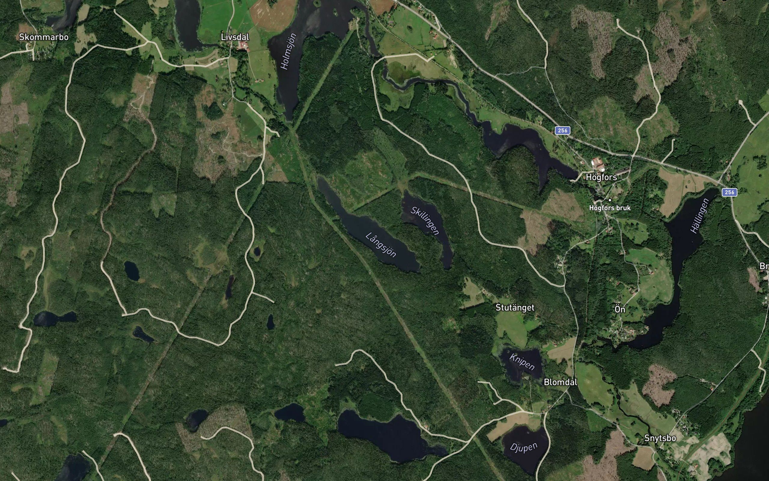 Langsjon
