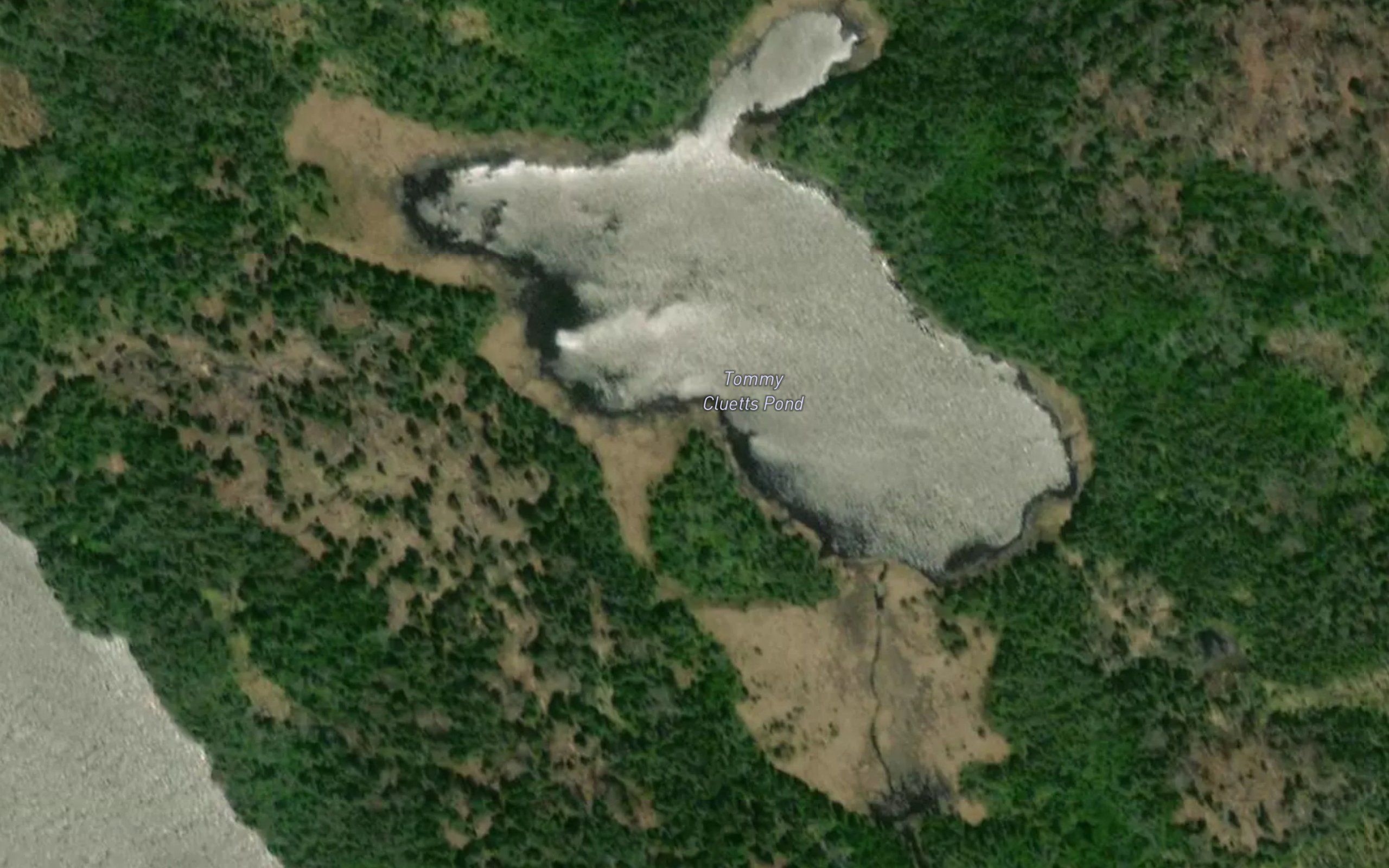 Tommy Cluetts Pond