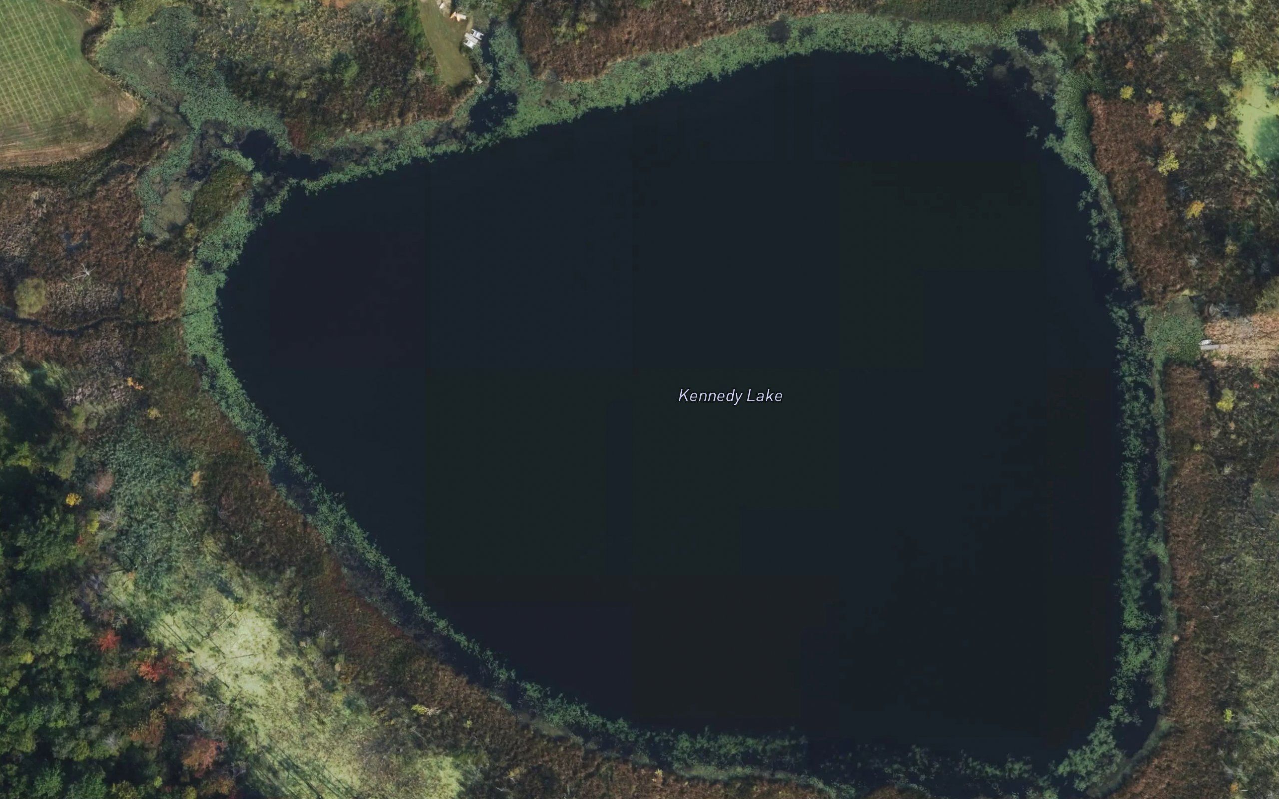 Kennedy Lake