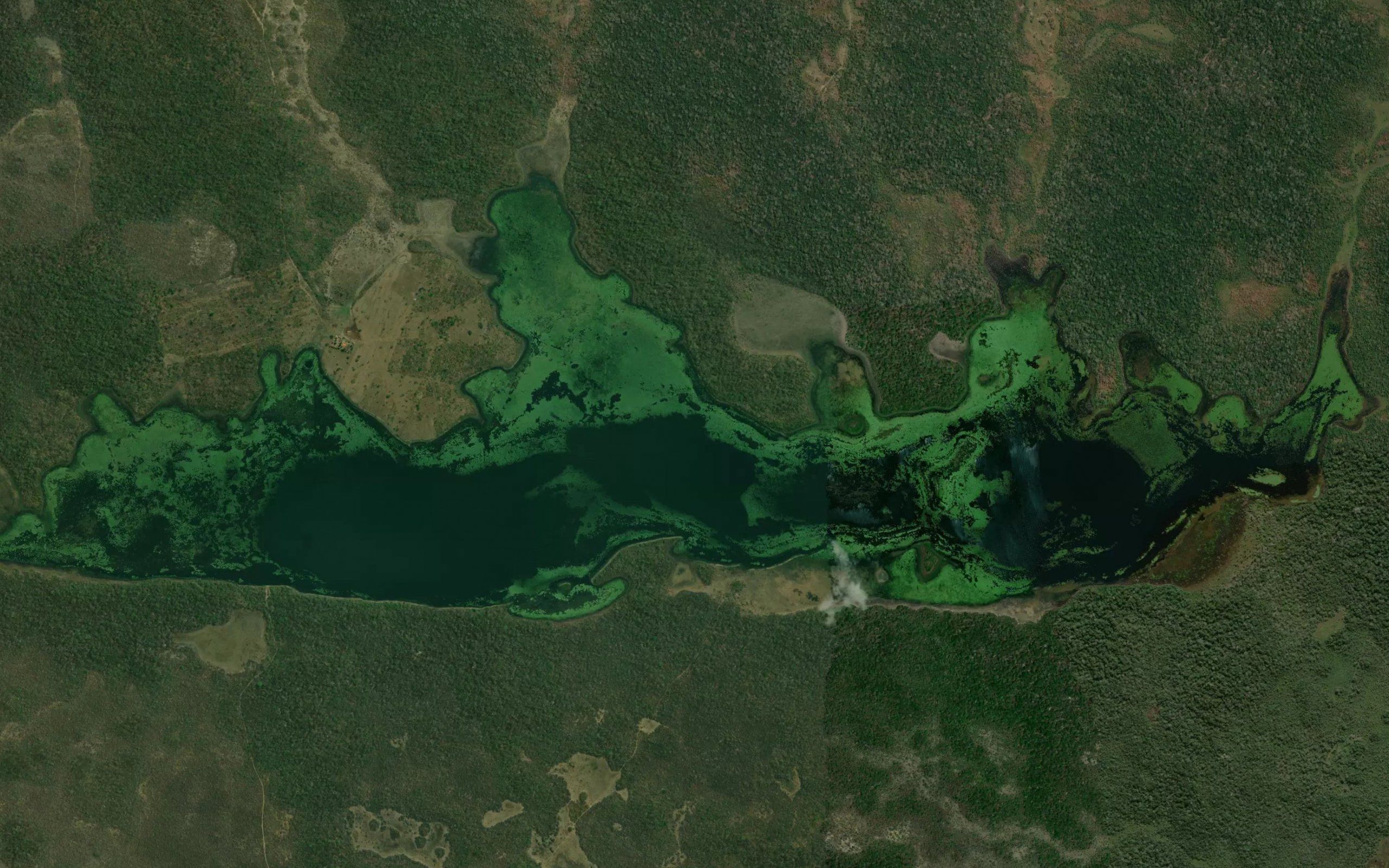 Laguna Bahia Toco Largo