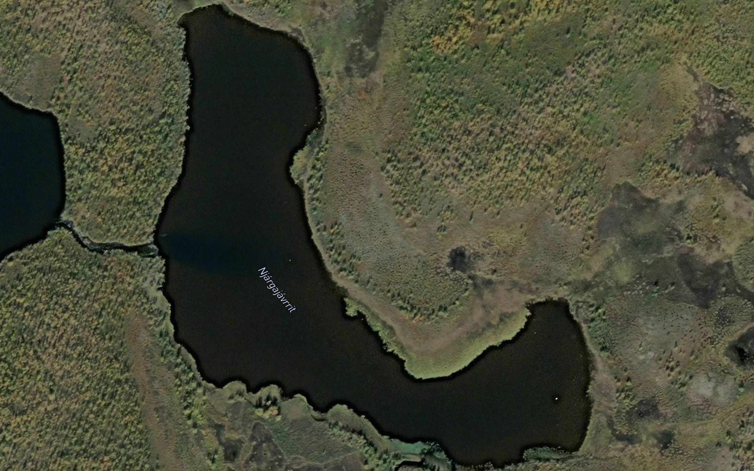 Njargajavrit