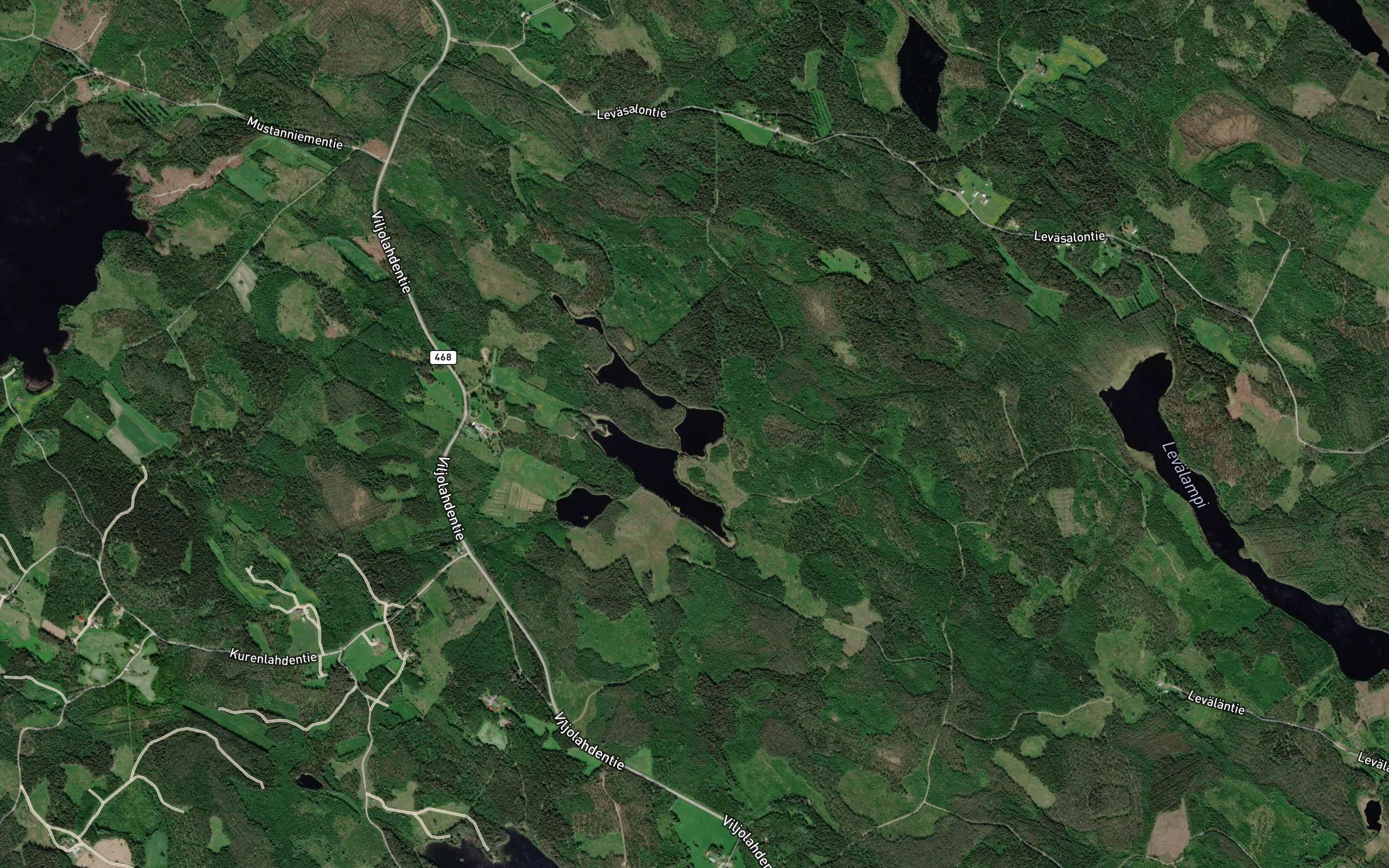 Suuri-Syva