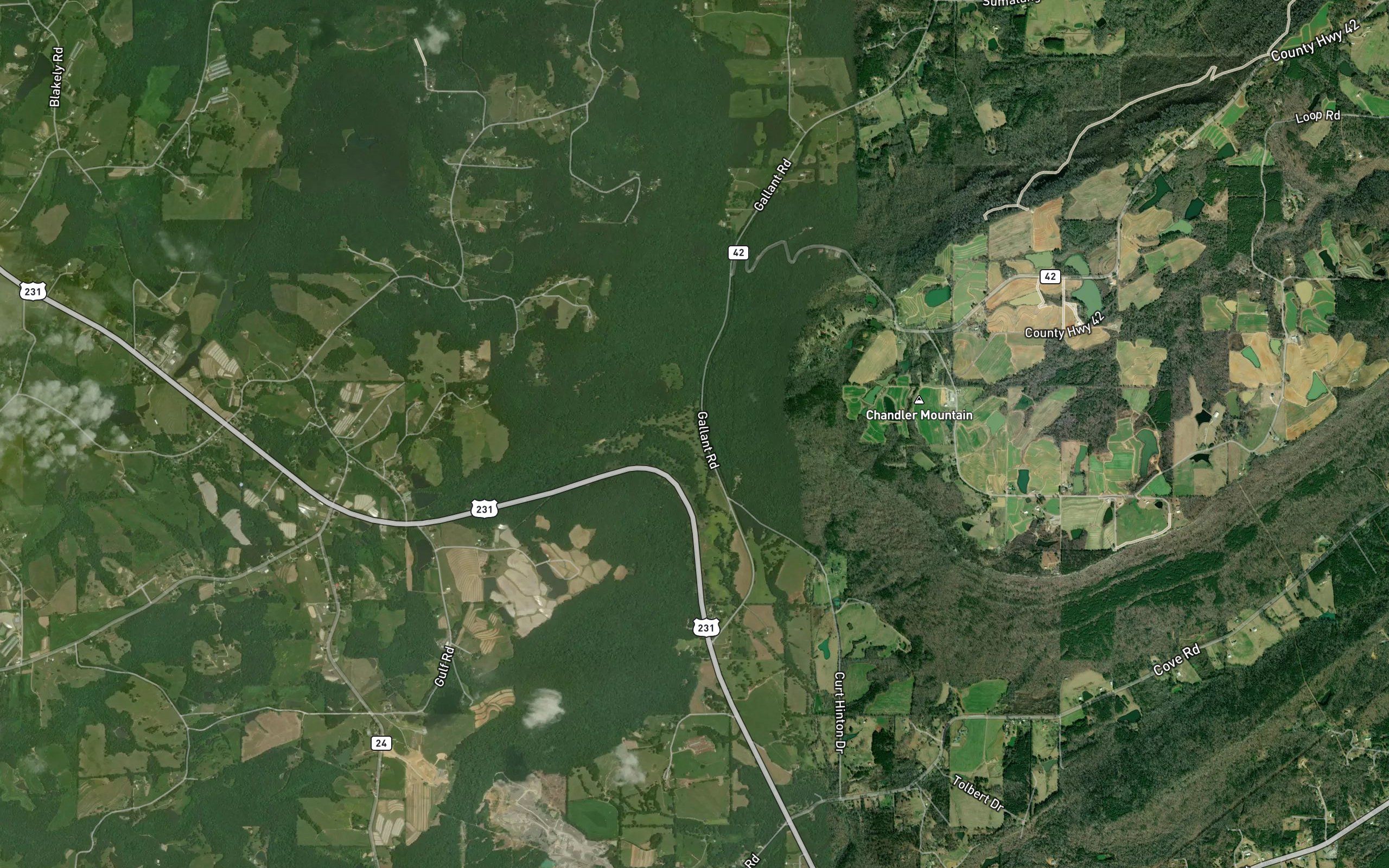 Little Gulf Branch