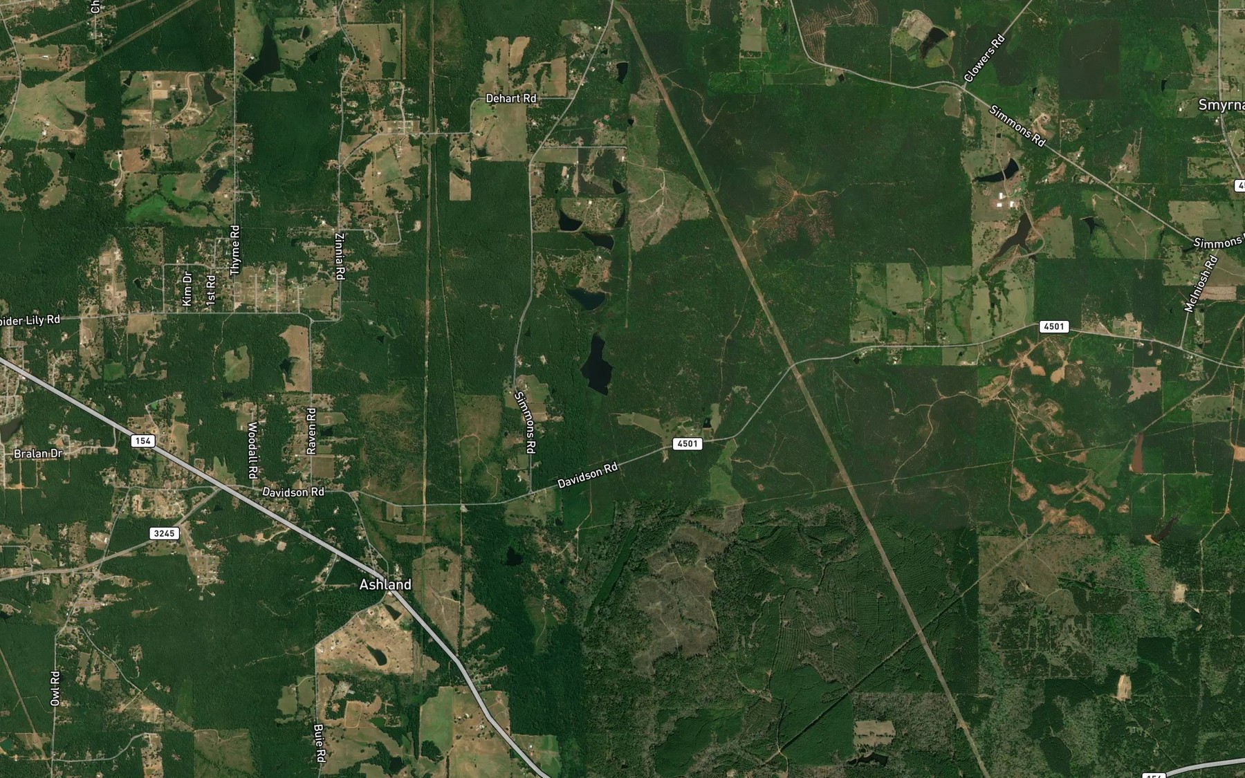 Satellite map of the Bluff Spring Lake