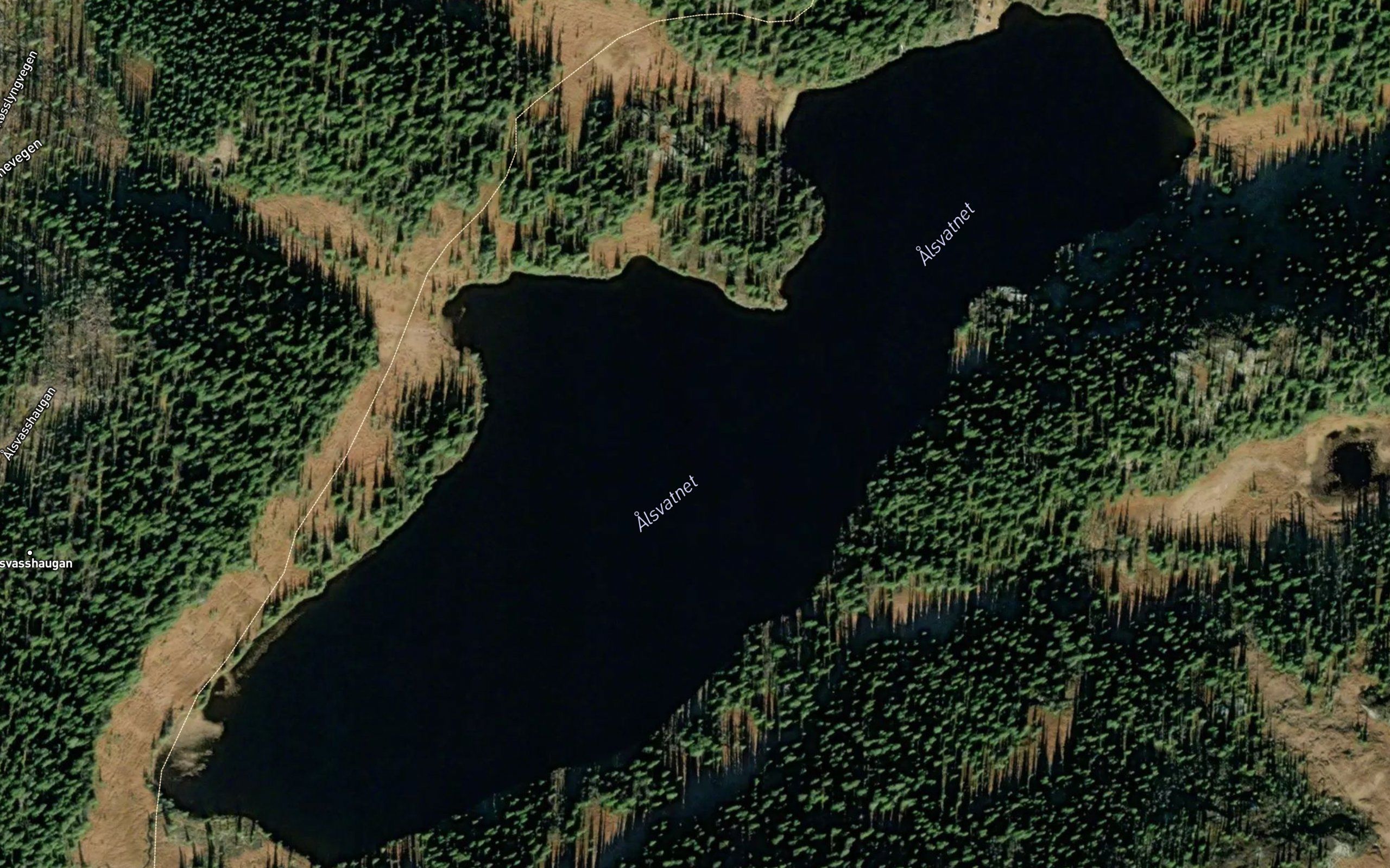 Alsvatnet