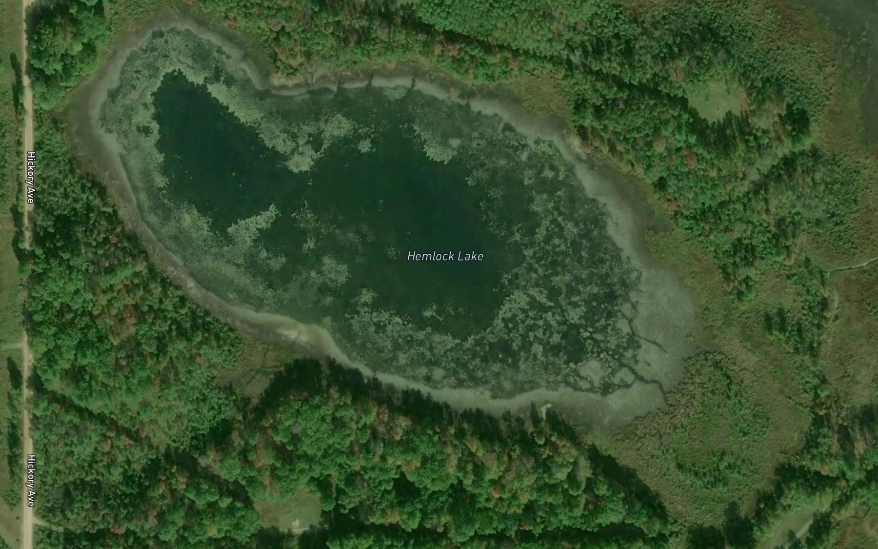 Satellite map of the Hemlock Lake