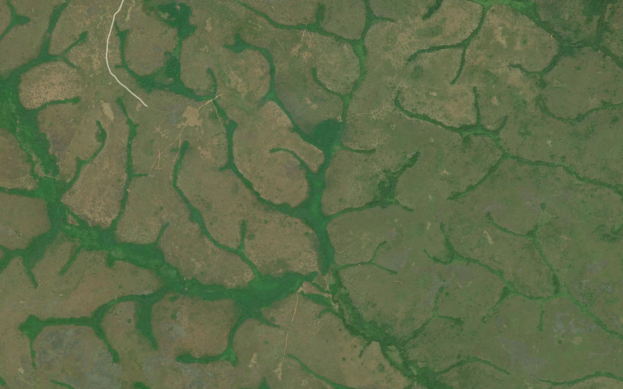 Mbangadi