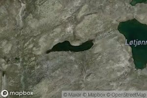 Svarttjorni