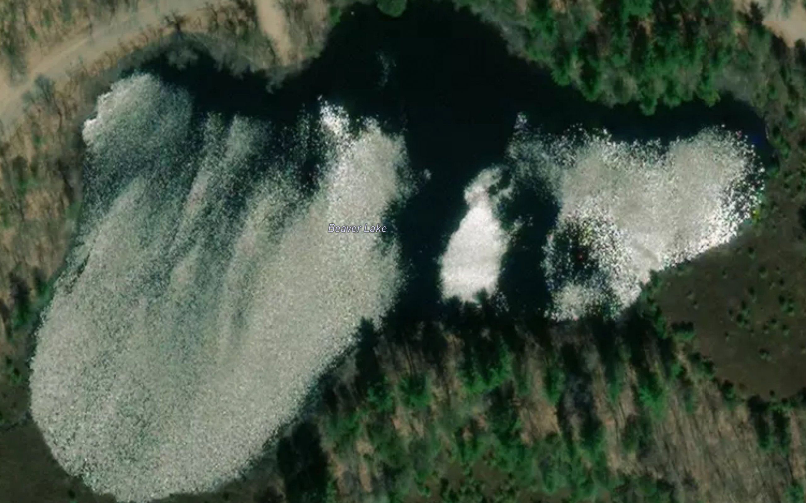 Beaver Lake