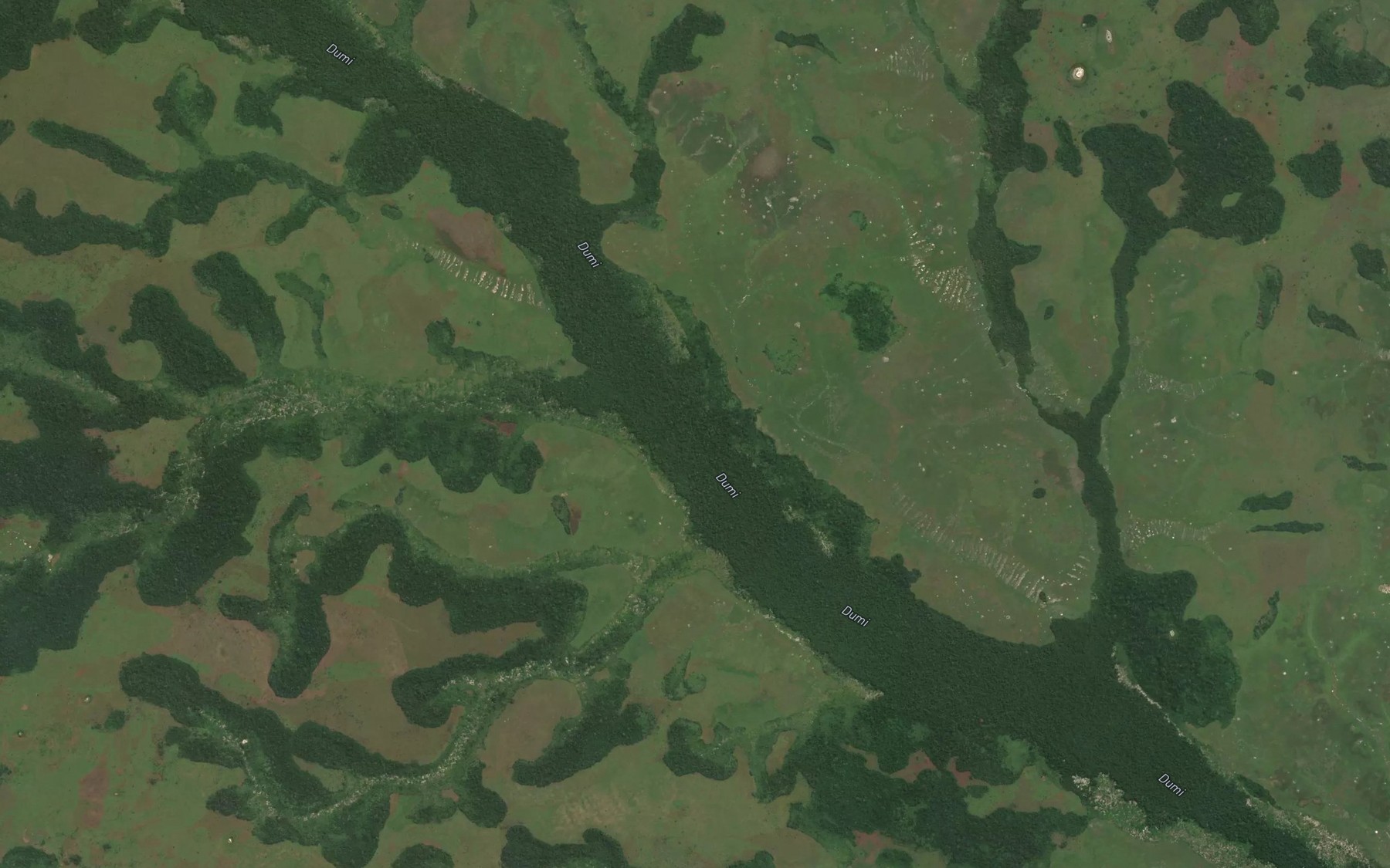 Satellite map of the Tunnale