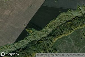 Satellite map of the Log Budnikov