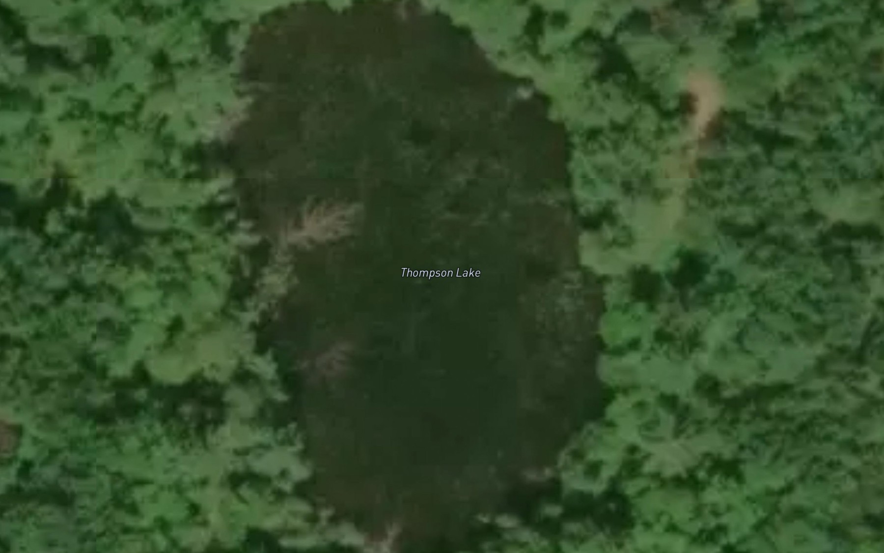 Satellite map of the Thompson Lake