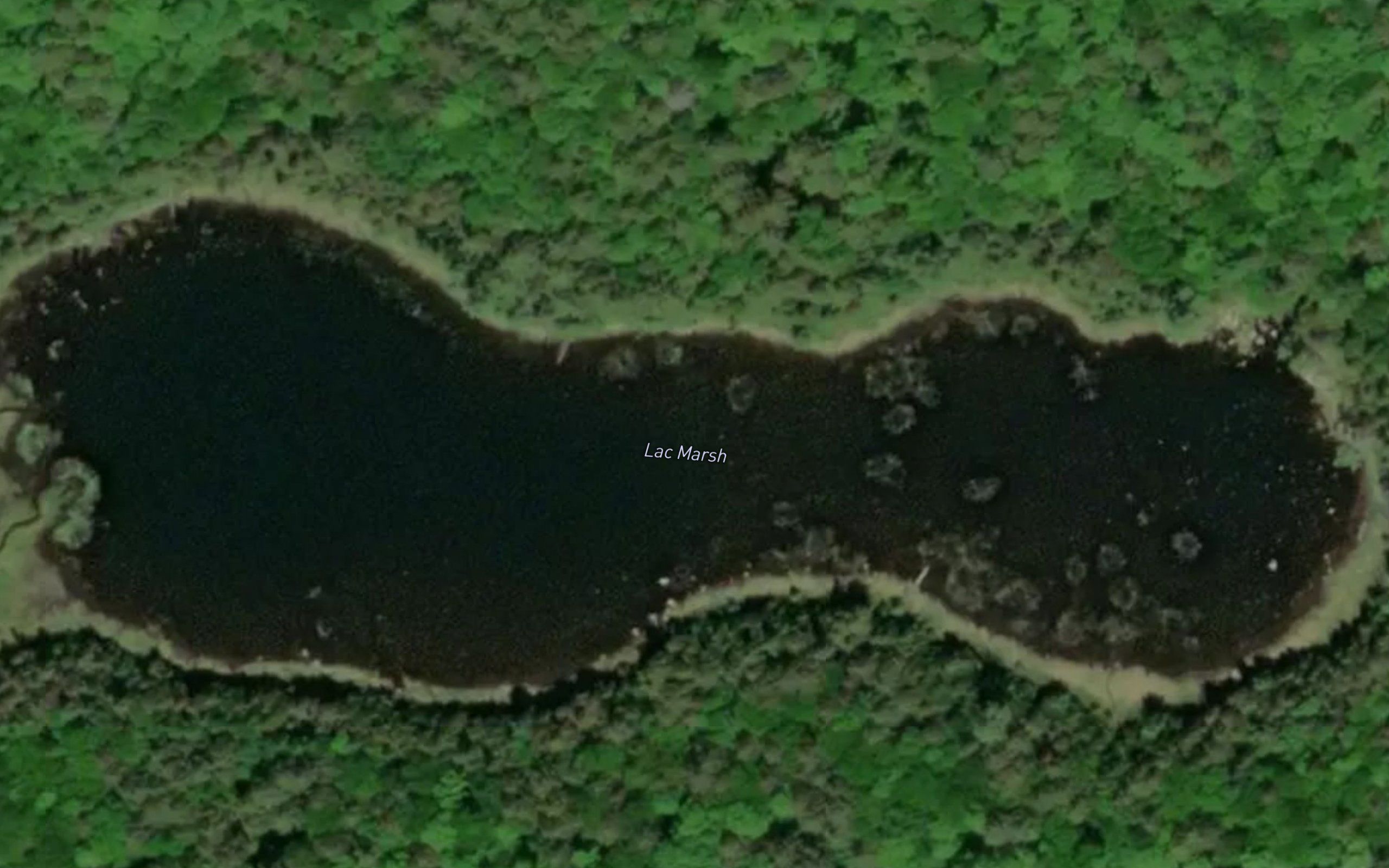 Lac Marsh