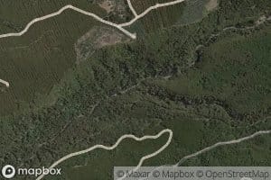 Estero Punocho
