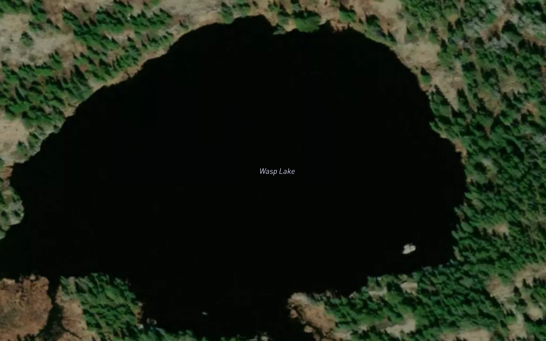 Satellite map of the Wasp Lake